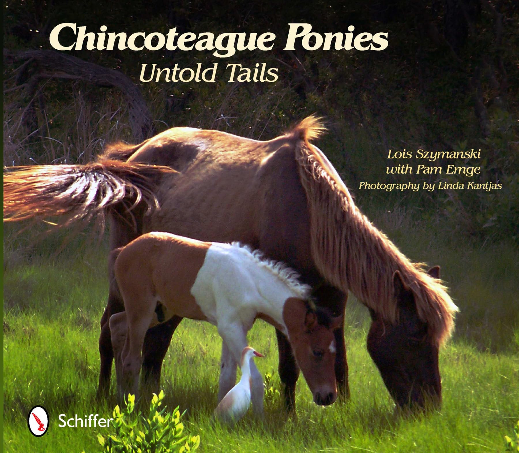 Chincoteague Ponies: Untold Tails Travel