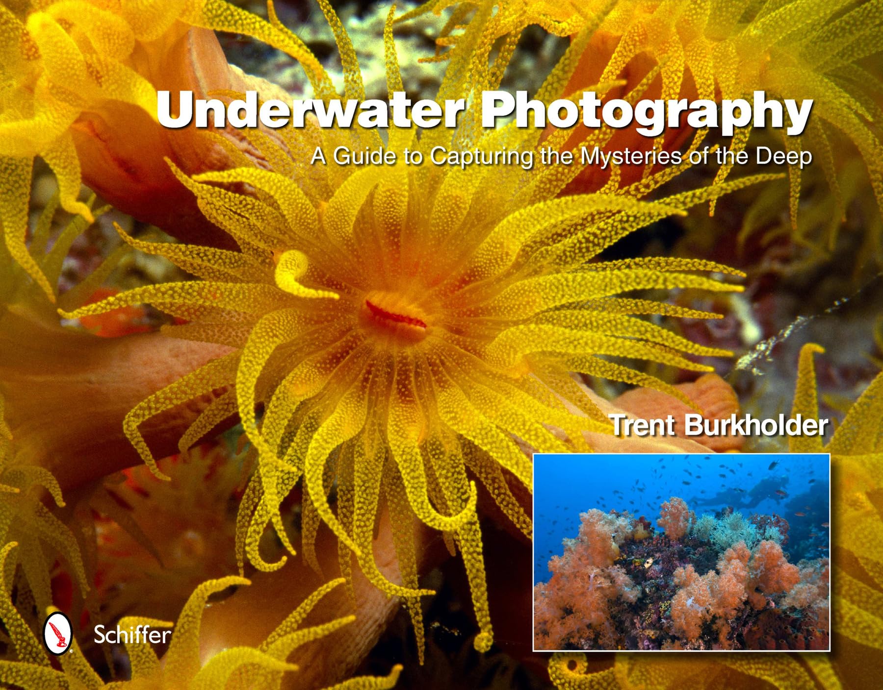 Underwater Photography: A Guide to Capturing the Mysteries of the Deep Photography