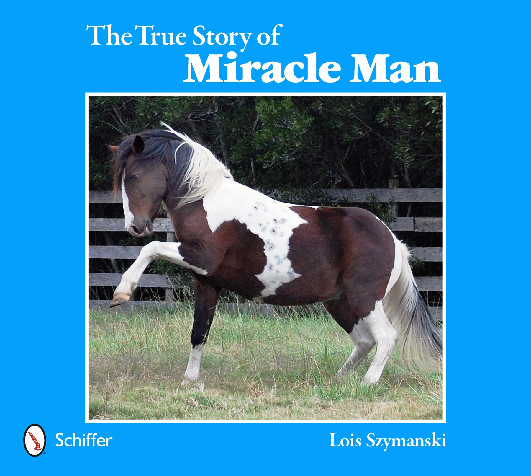 The True Story of Miracle Man Non-fiction