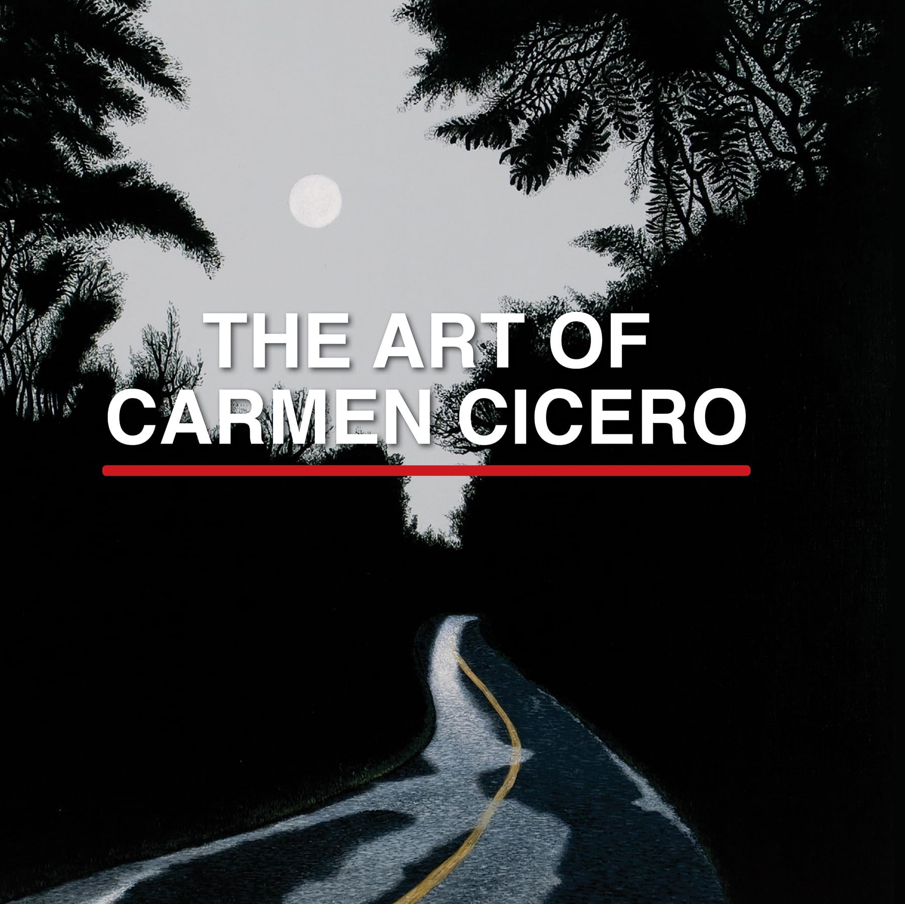 The Art of Carmen Cicero book