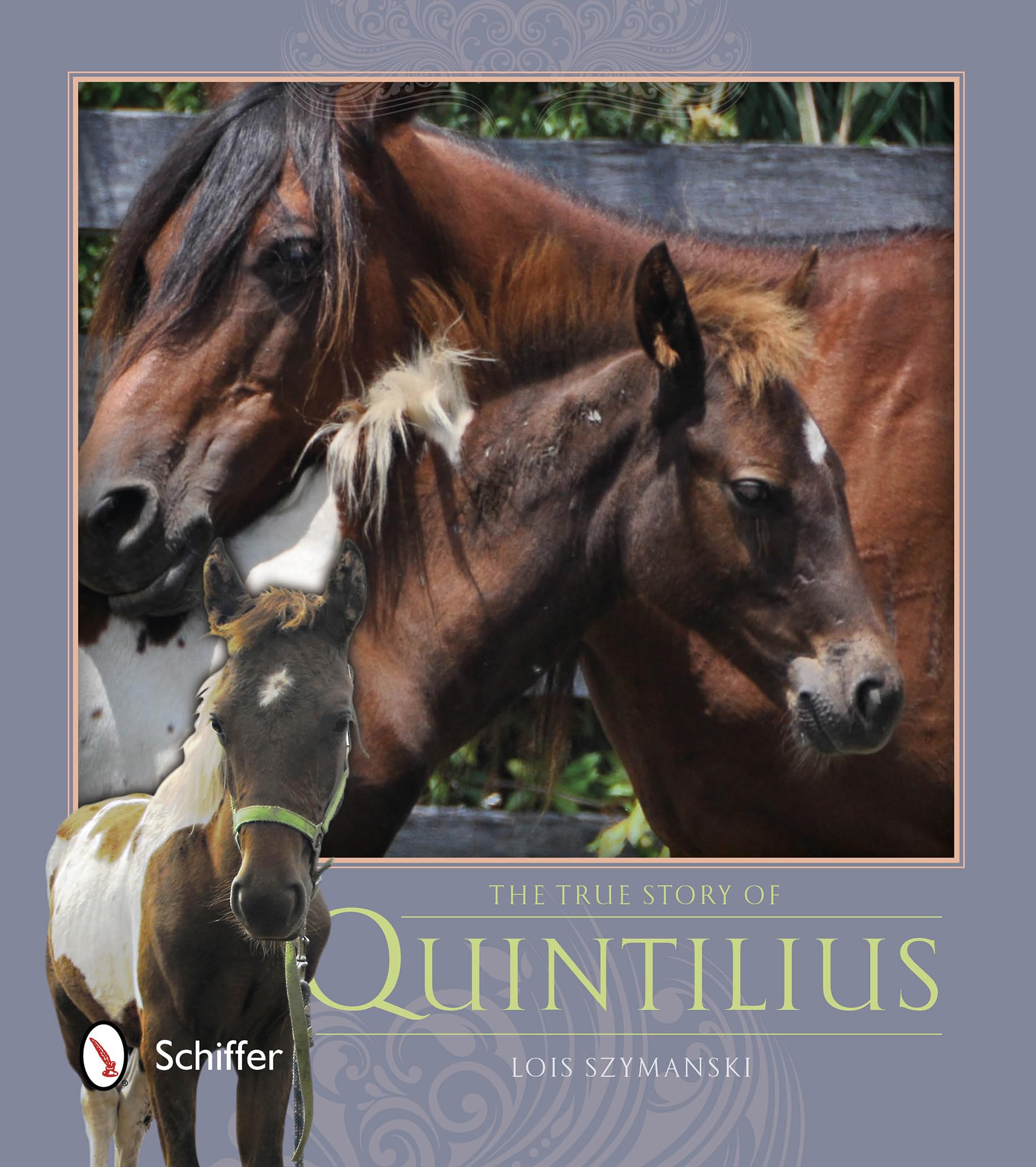 The True Story of Quintilius Mathematics