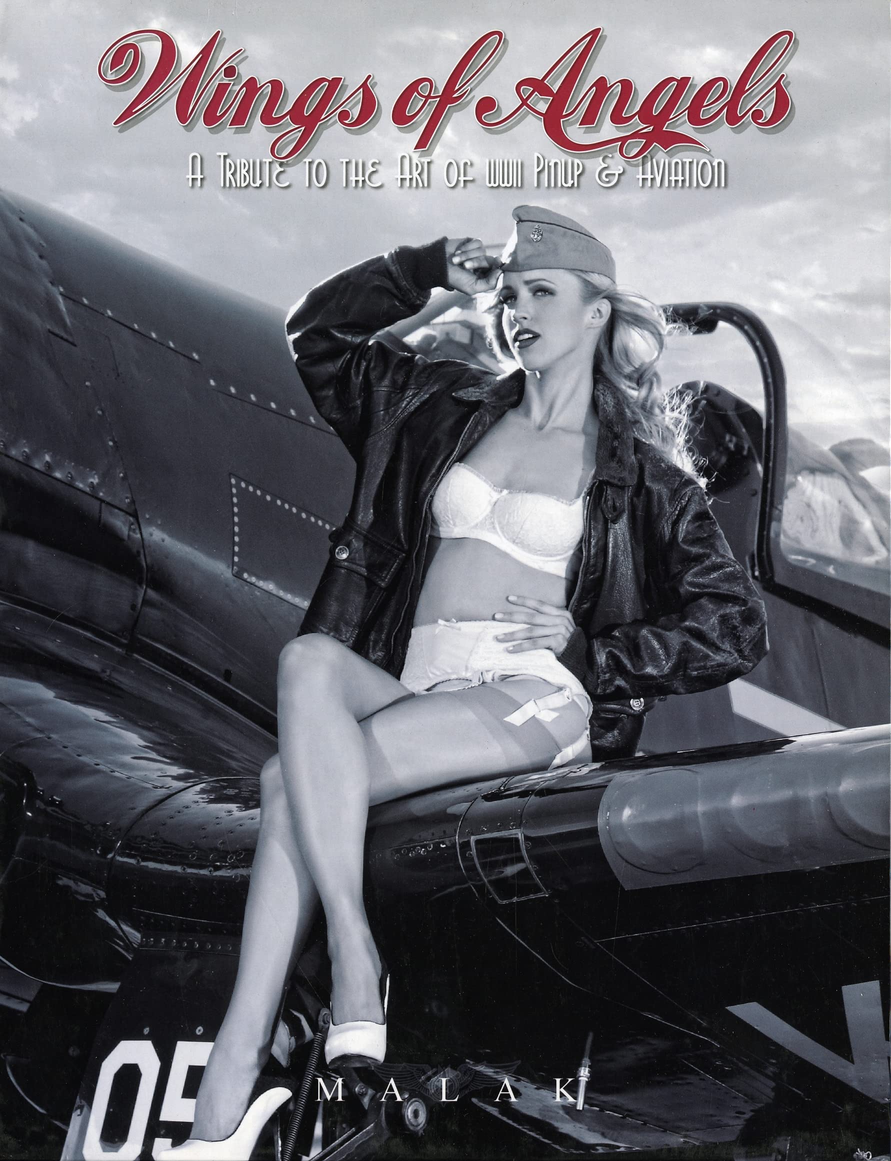 Wings of Angels: A Tribute to the Art of World War II Pinup & Aviation Box Set Social Sciences