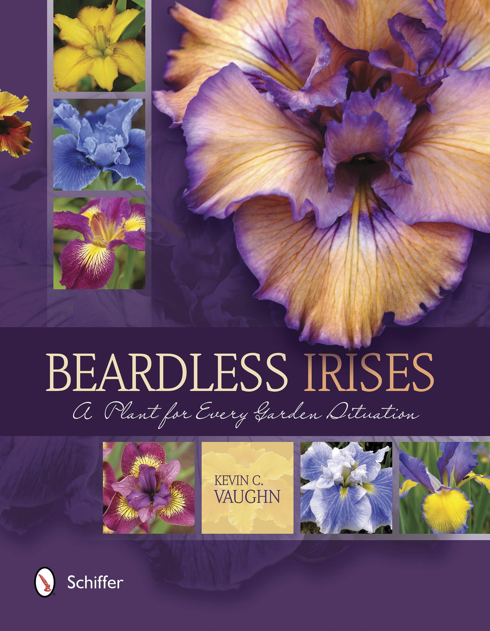 Beardless Irises: A Plant for Every Garden Situation Garden & Plants