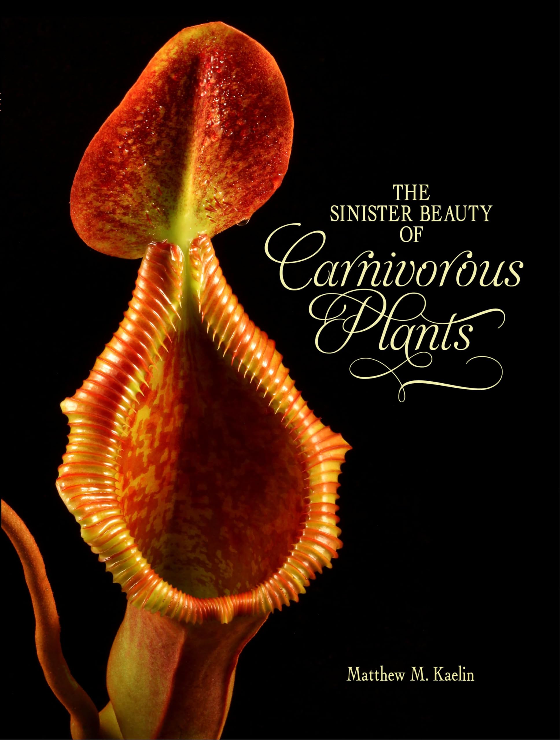 The Sinister Beauty of Carnivorous Plants Mathematics