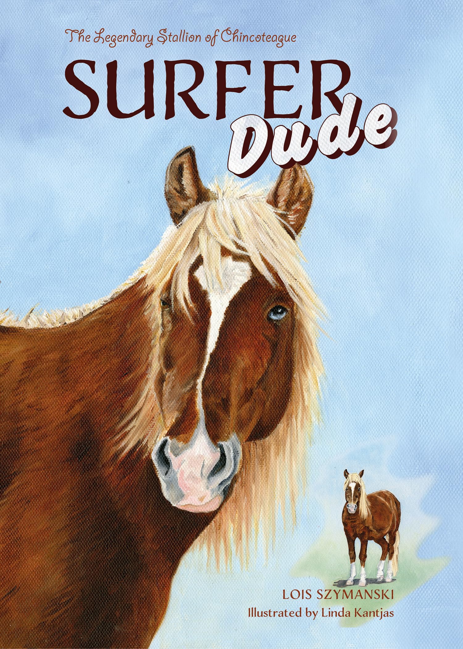 Surfer Dude: The Legendary Stallion of Chincoteague Leisure, Home & Garden