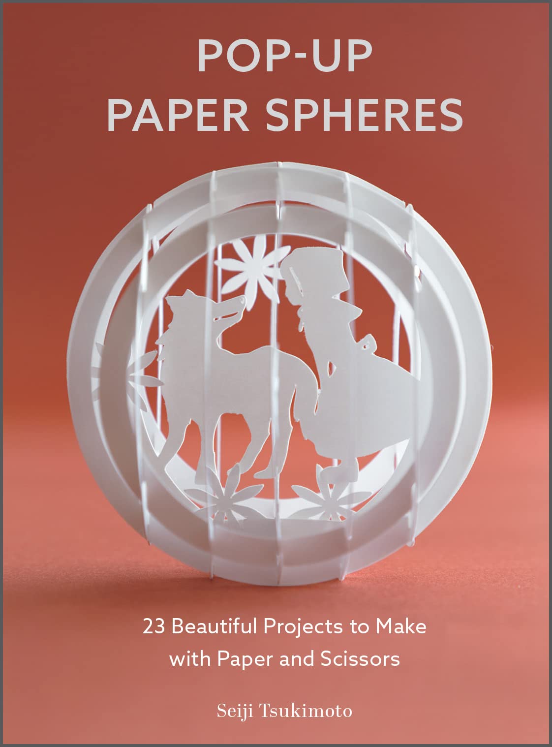 Pop up Paper Spheres: 23 Beautiful Projects to Make With Paper and Scissors (Wonderful Paper Spheres, 1) Politics & Society