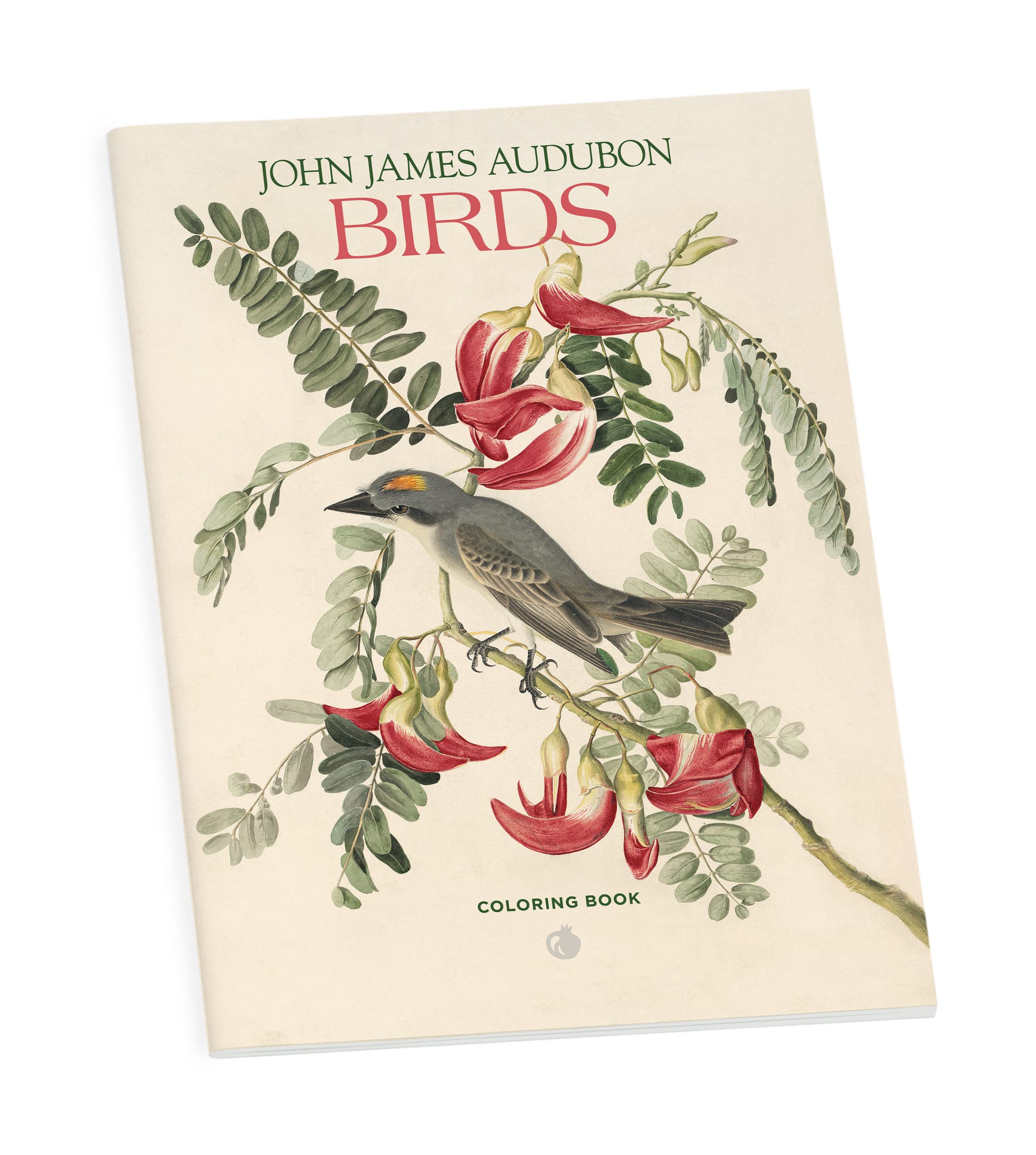John James Audubon Birds Coloring Book book