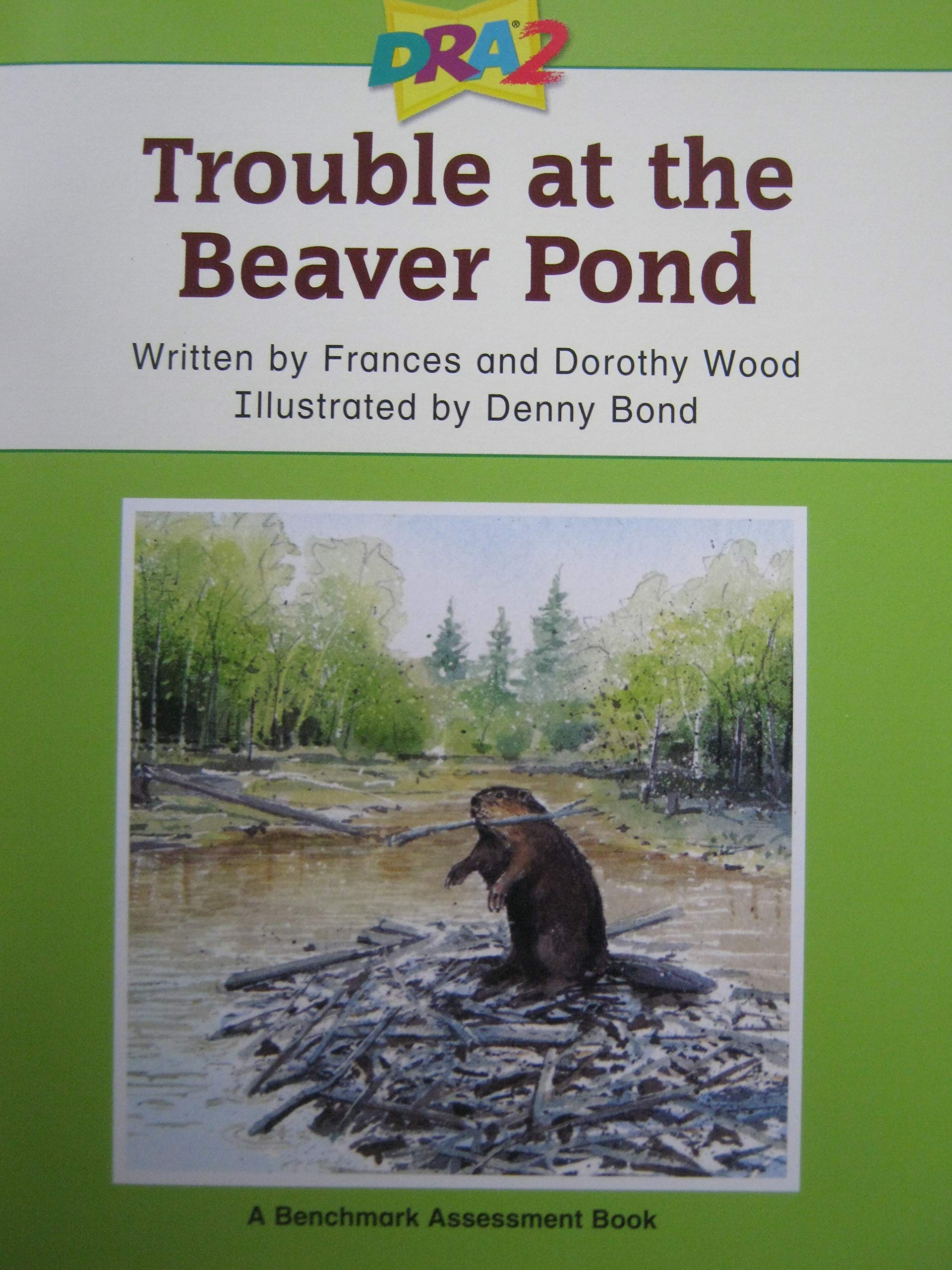 Trouble At the Beaver Pond Books