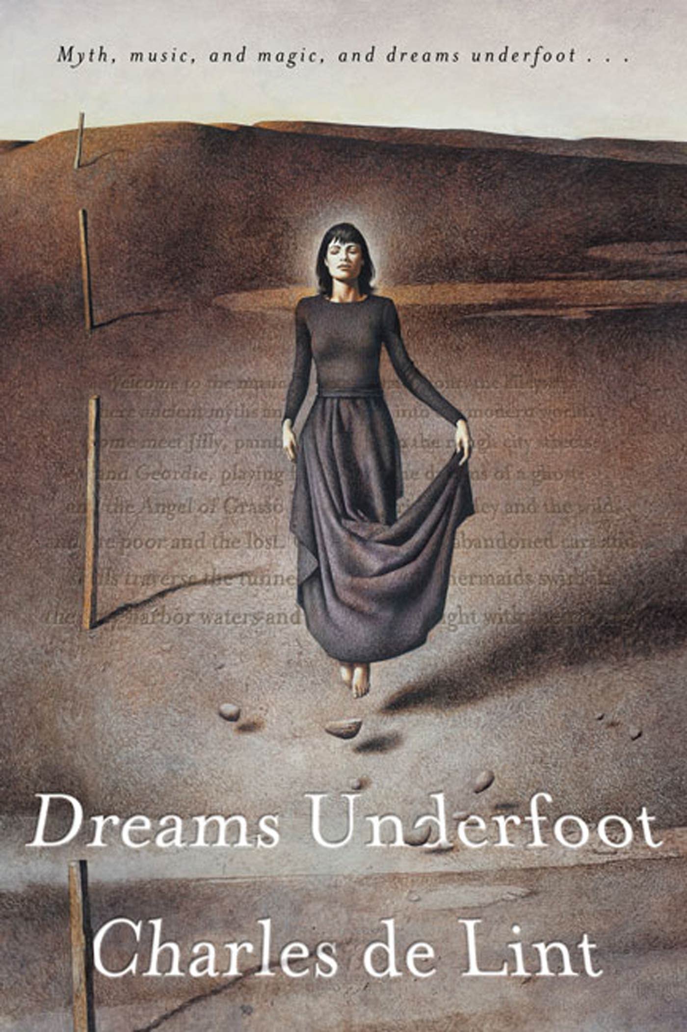 Dreams Underfoot: The Newford Collection Contemporary literature