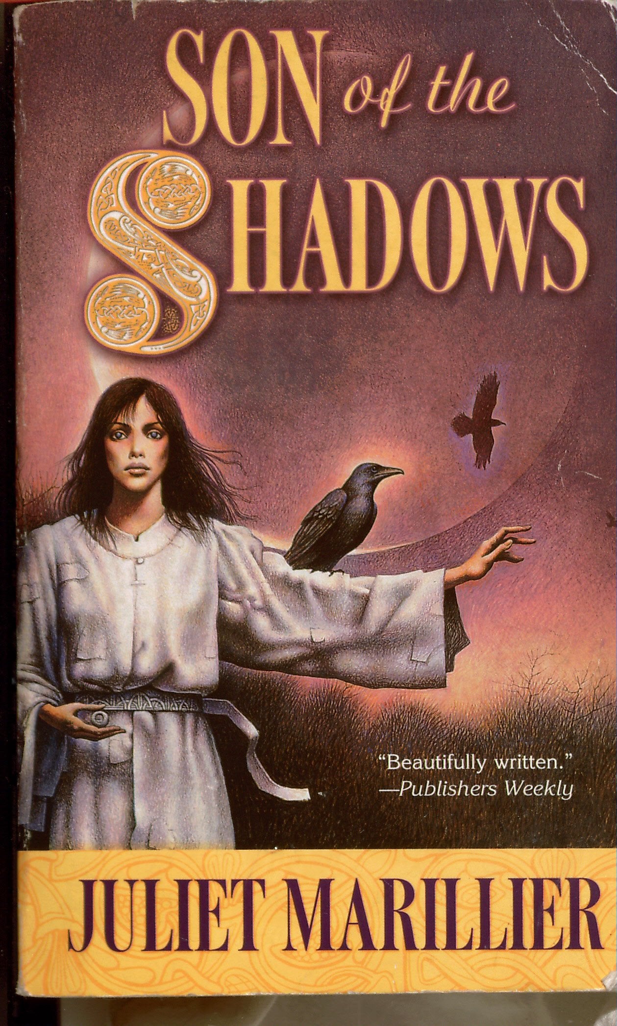 Son of the Shadows Fantasy & Sci-Fi