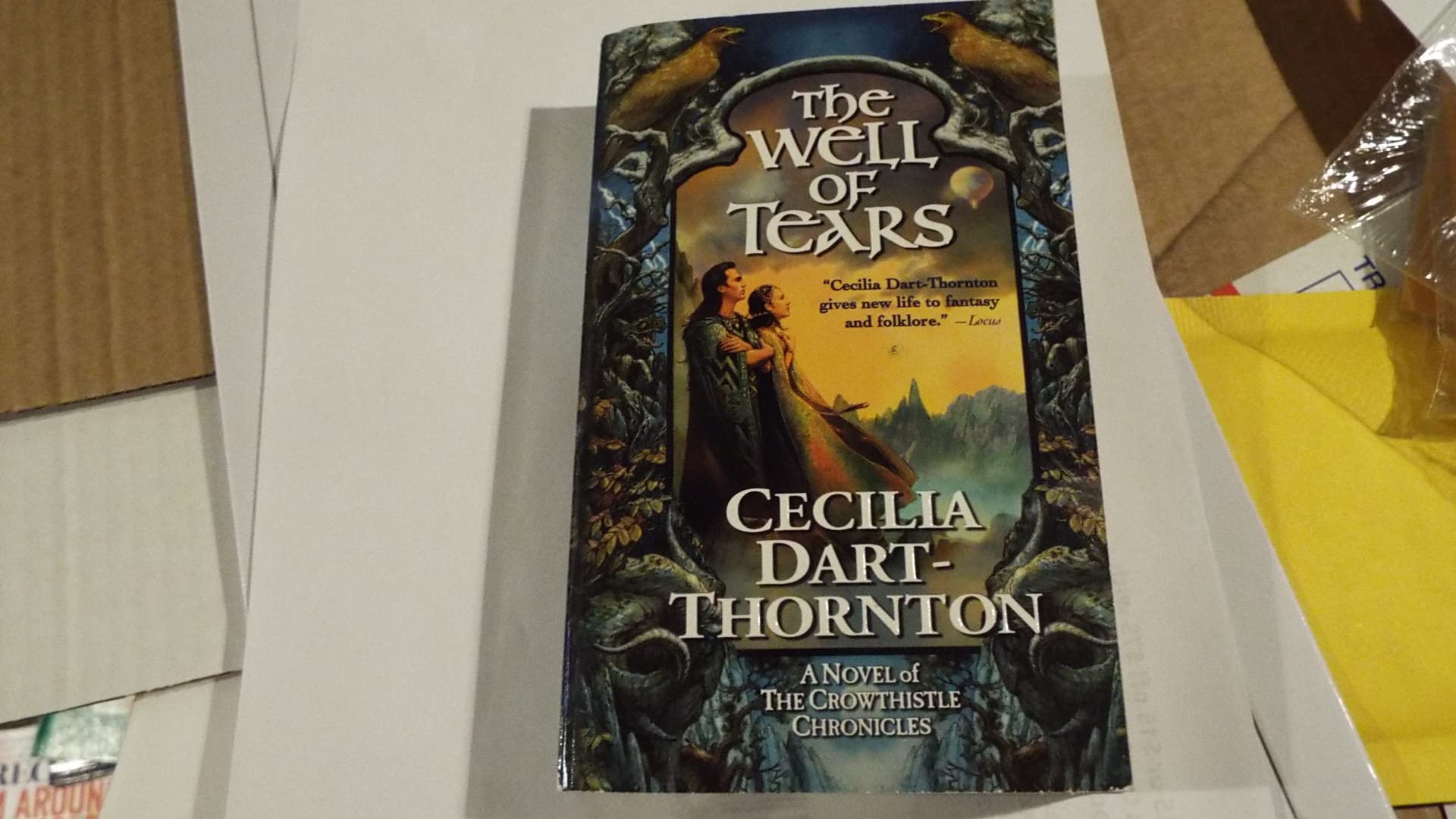 The Well of Tears book