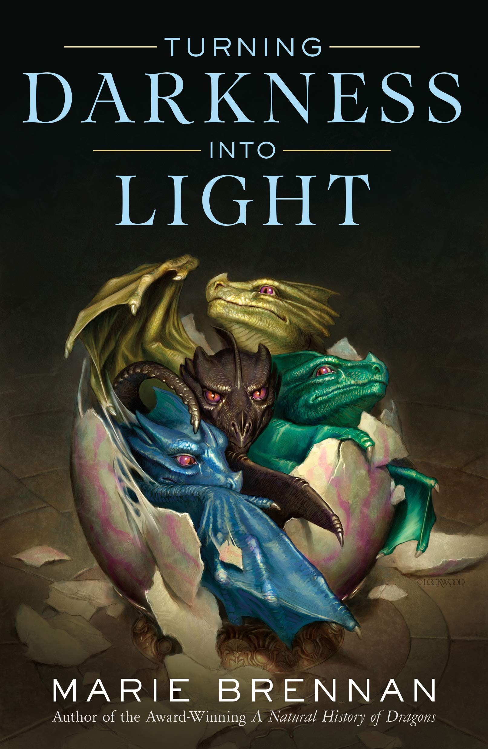 Turning Darkness Into Light Action & Adventure