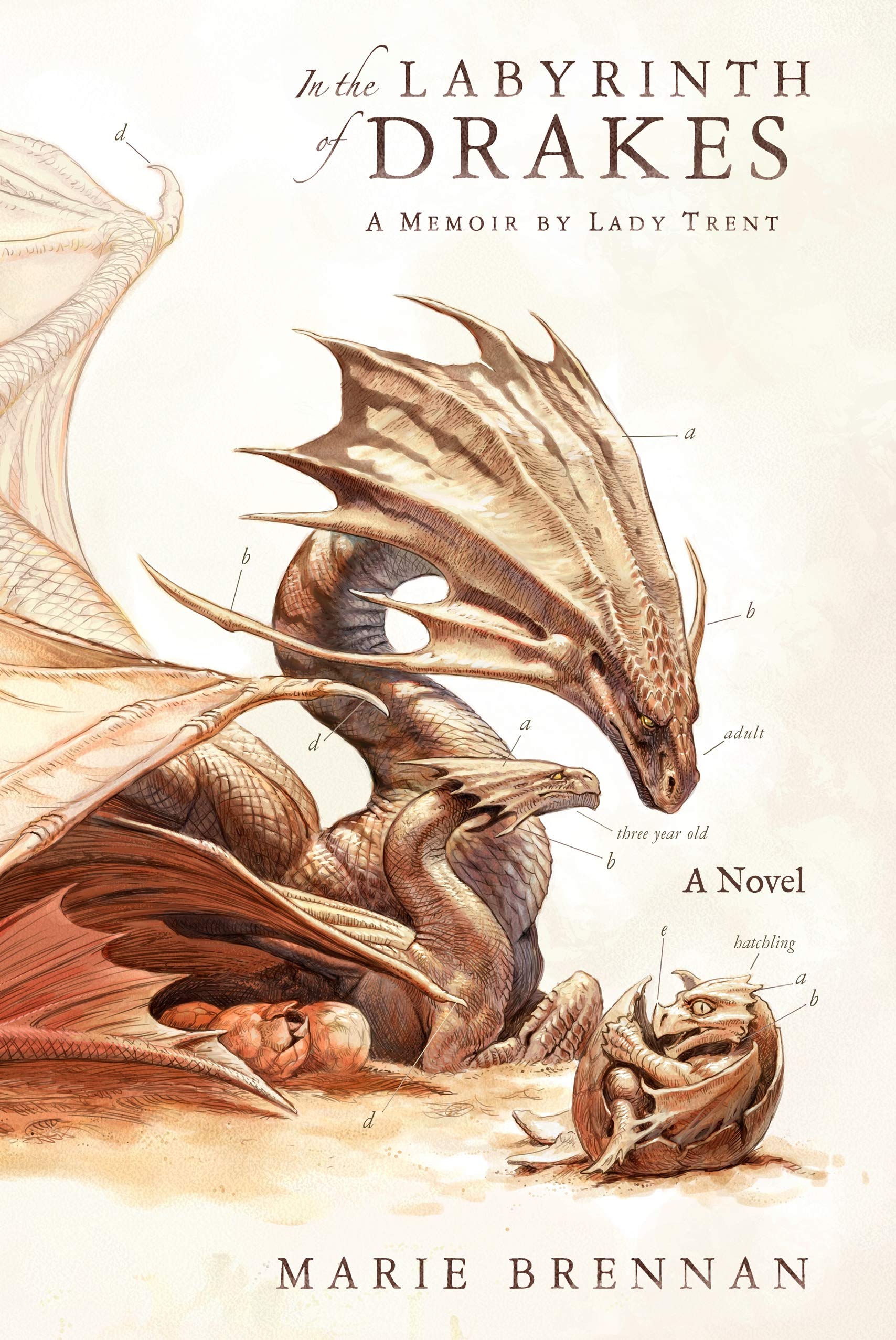 In the Labyrinth of Drakes book