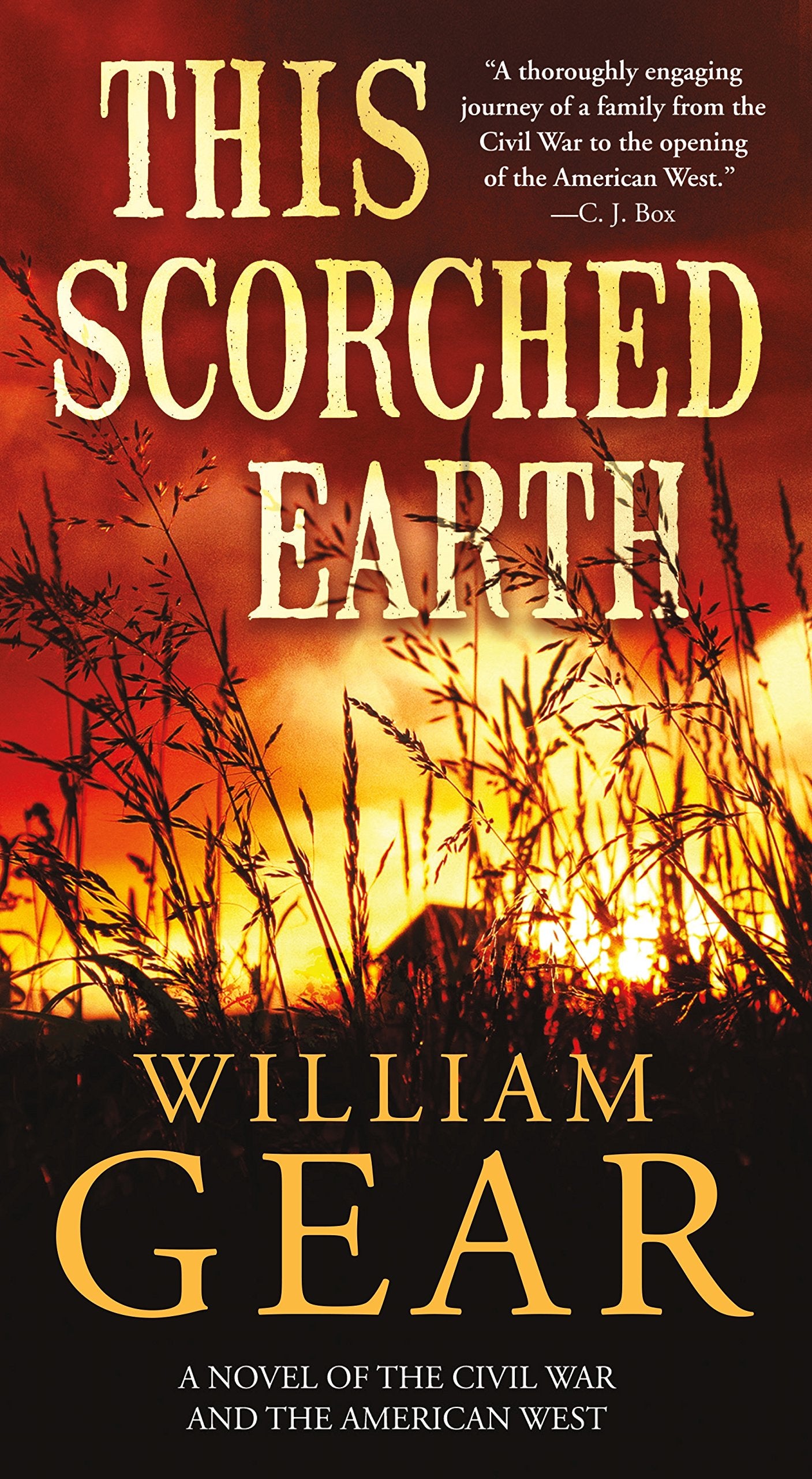 This Scorched Earth: A Novel of the Civil War and the American West Historical Fiction