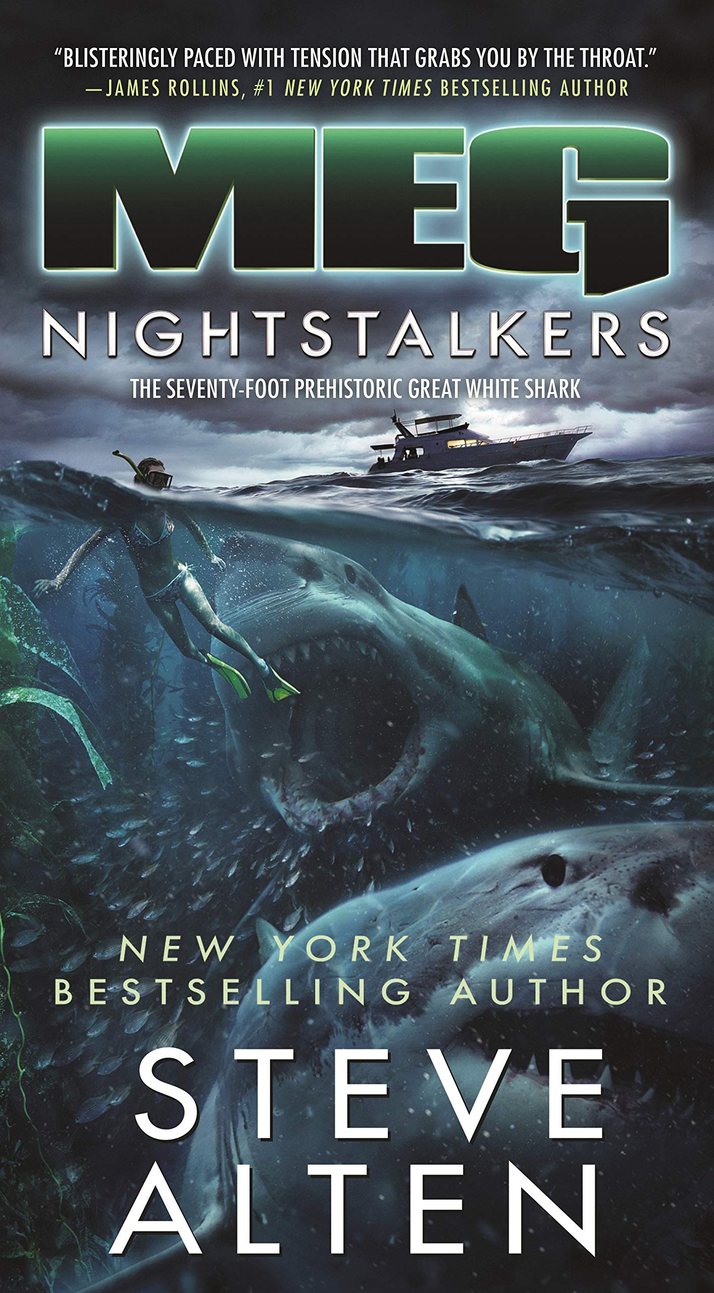 MEG: Nightstalkers (MEG, 5, Band 5) Action & Adventure