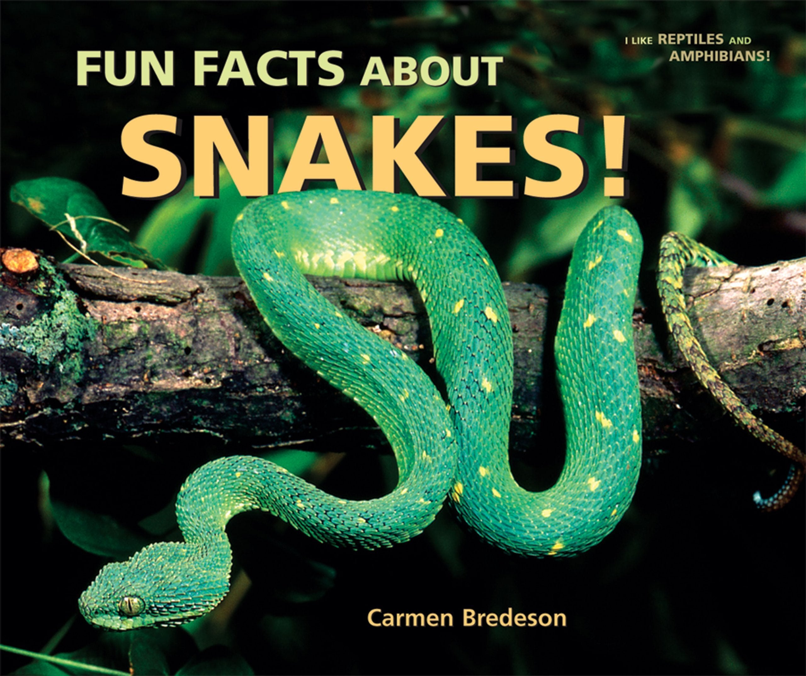 Fun Facts About Snakes! (I Like Reptiles and Amphibians!) Non-fiction