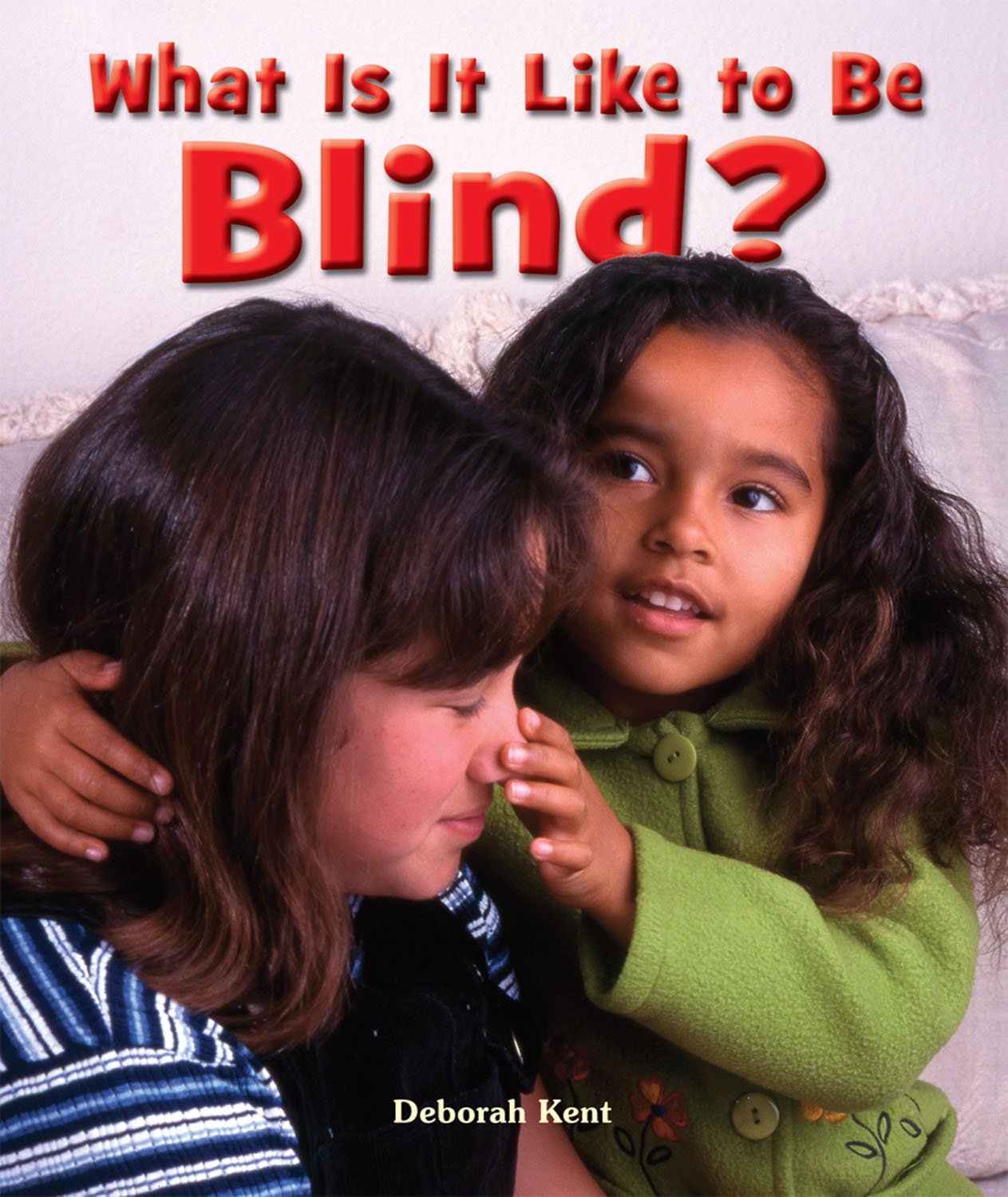 Product Image: What Is It Like to Be Blind?