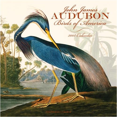 Audubon Birds of America 2008 Calendar Calendars
