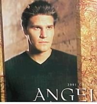 Product Image: Angel 2001 Calendar