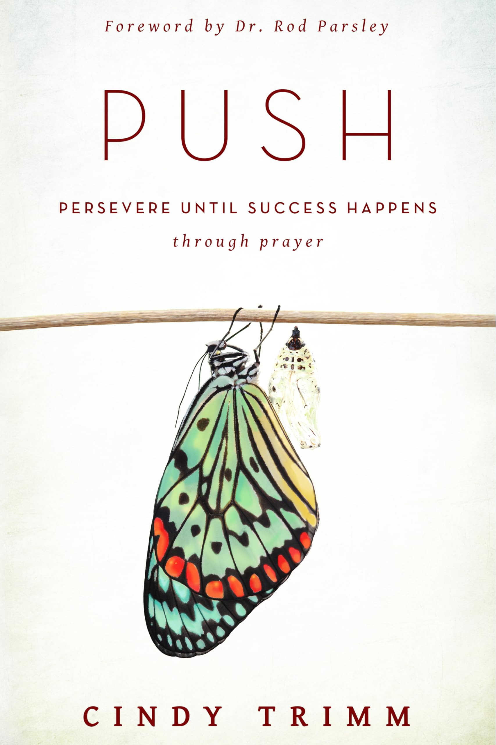 Push: Persevere Until Success Happens Through Prayer book
