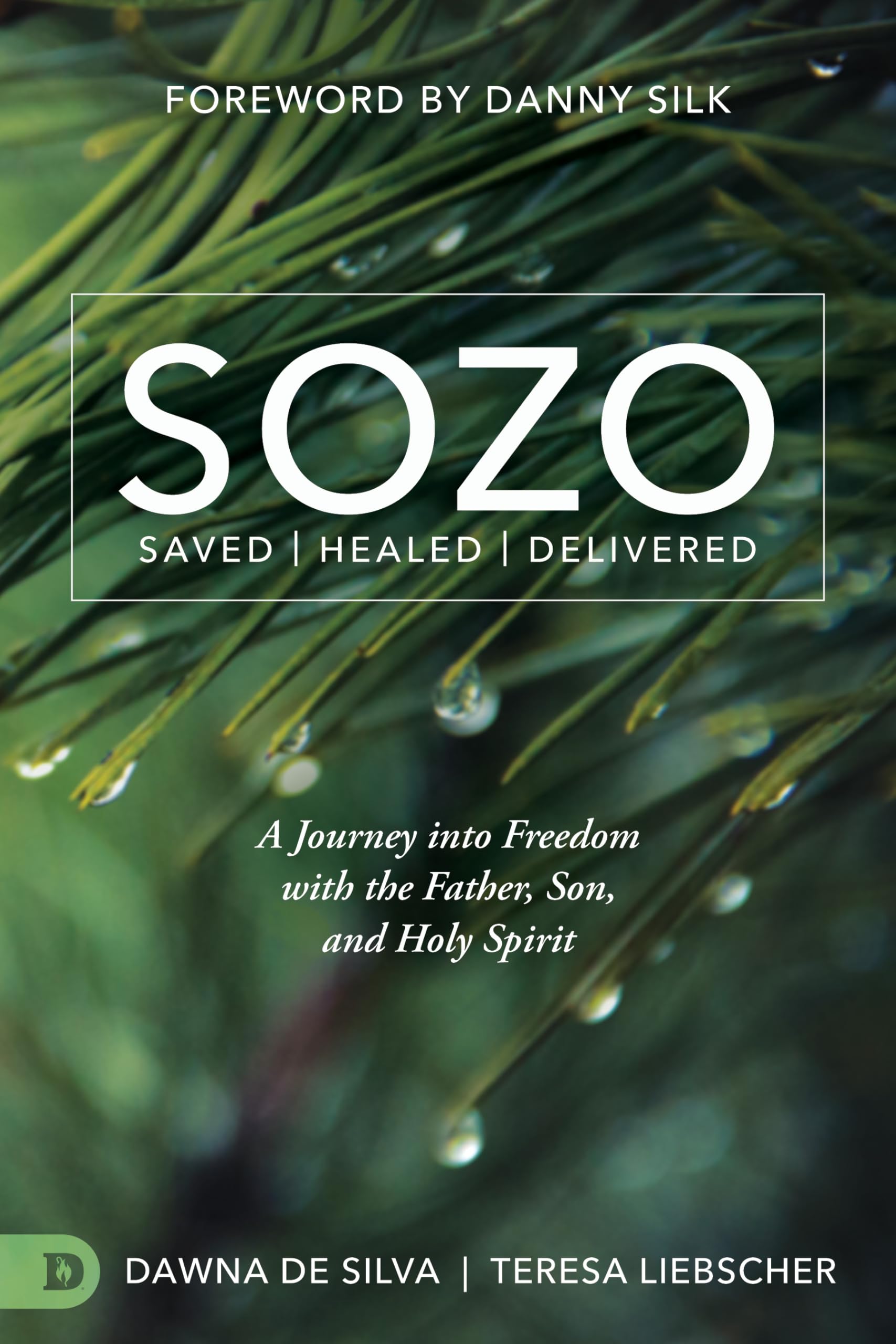 SOZO Saved Healed Delivered: A Journey into Freedom with the Father, Son, and Holy Spirit Religion & Esotericism