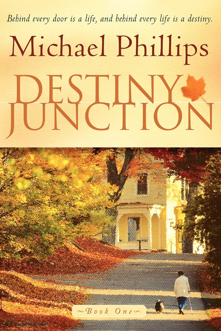 Destiny Junction: Behind Every Door is a Life, and Behind Every Life is a Destiny Books