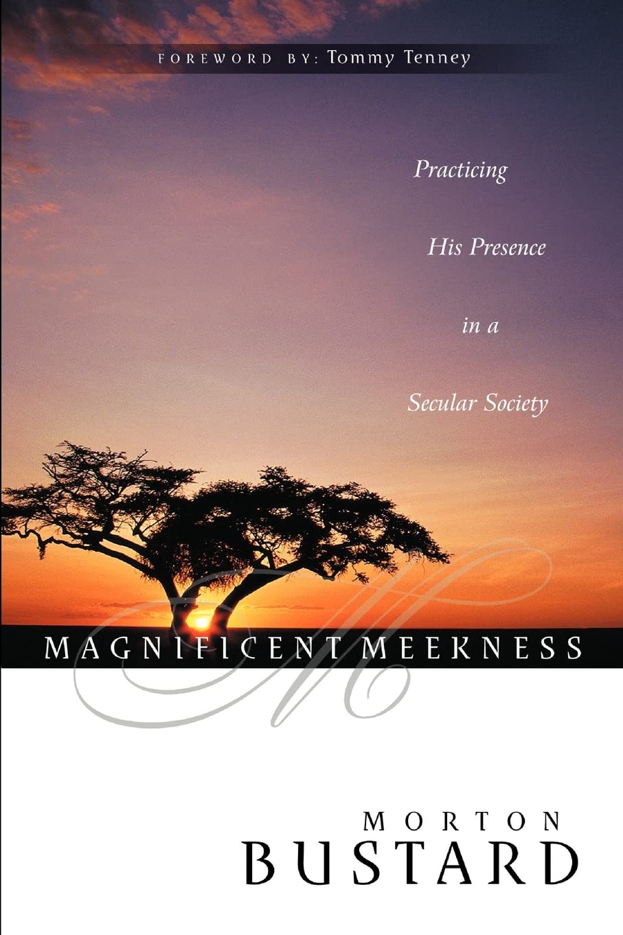 Magnificent Meekness: Practicing His Presence in a Secular Society Social Sciences