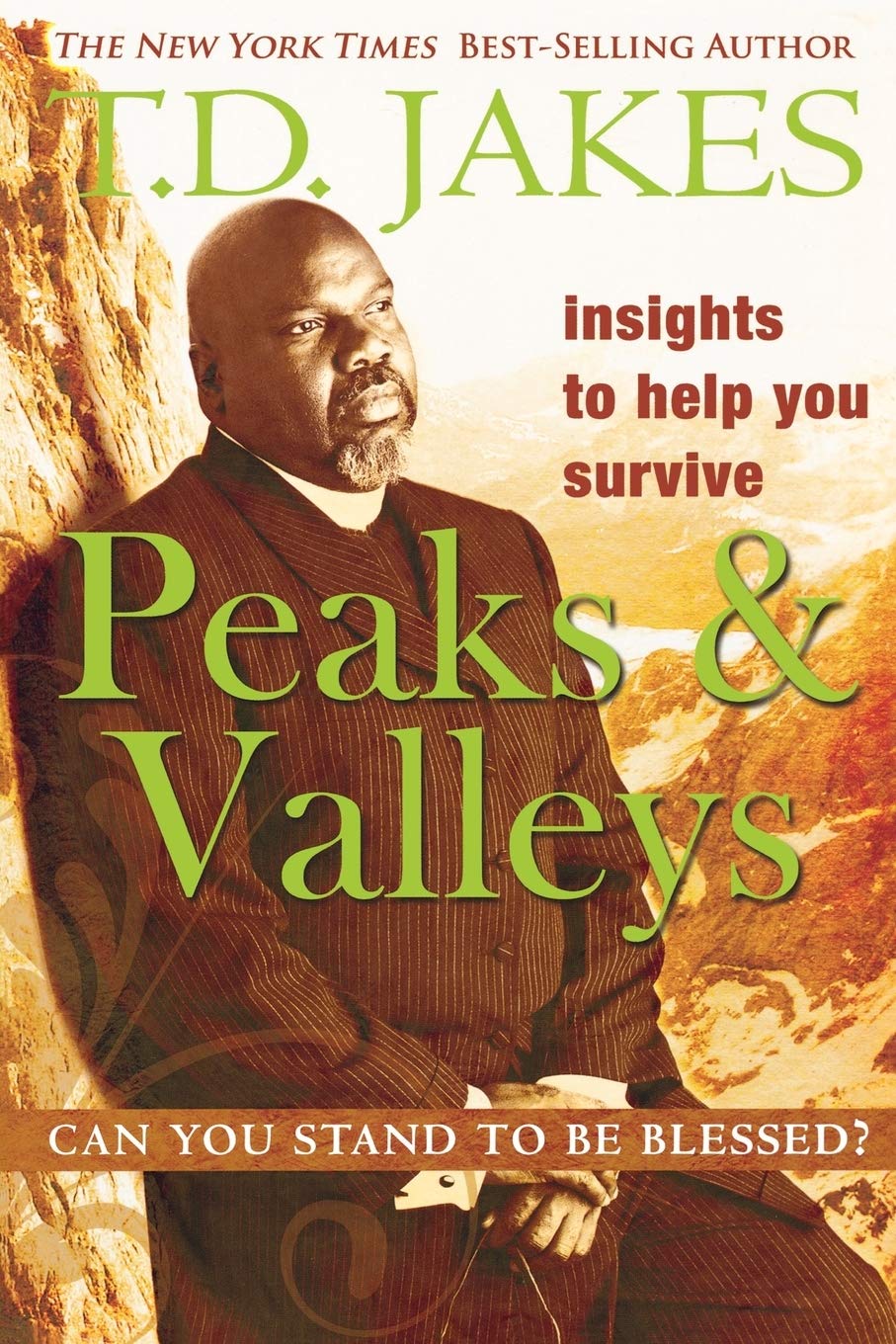Insights to Help You Survive the Peaks and Valleys: Can You Stand to Be Blessed? book