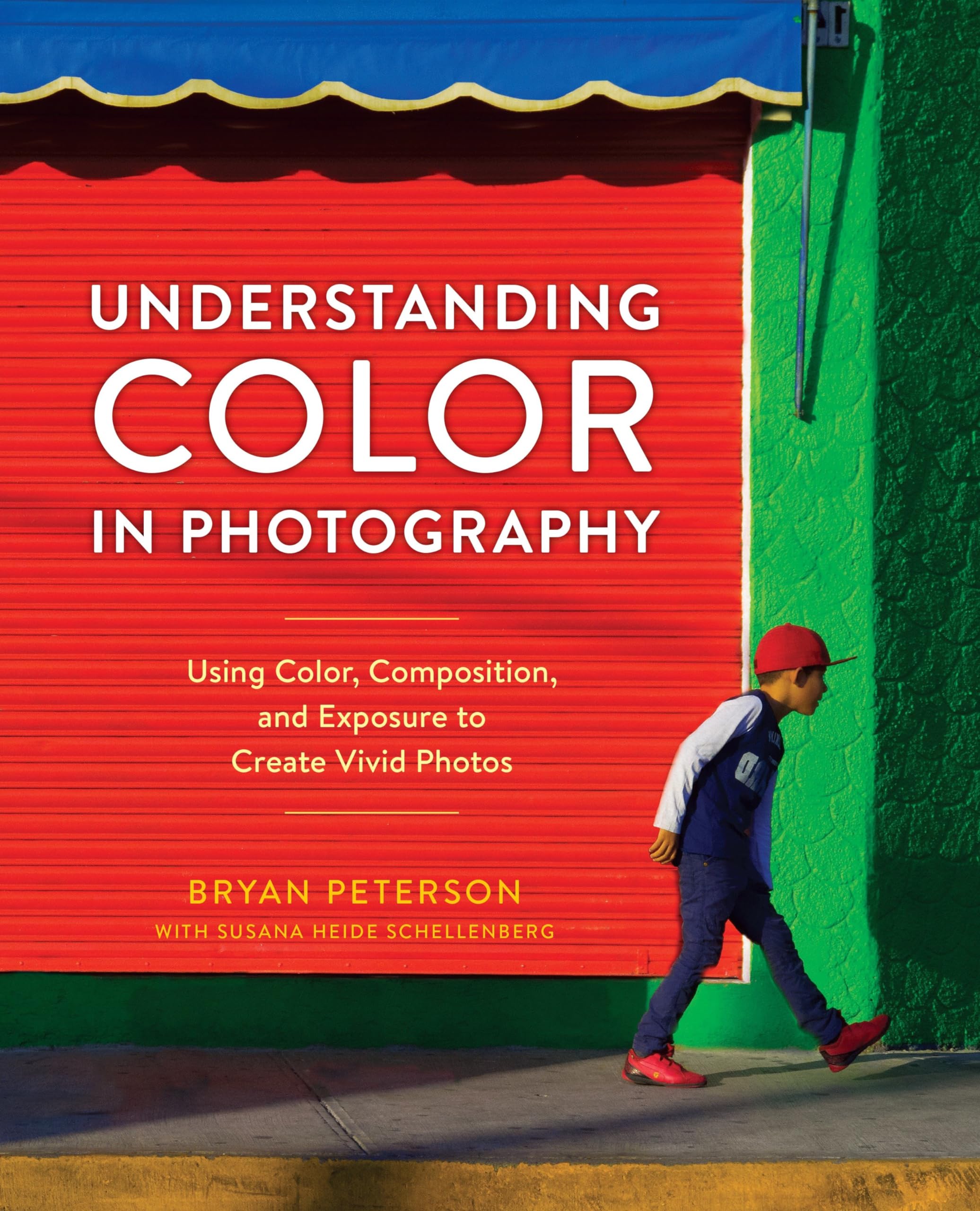 Understanding Color in Photography: Using Color, Composition, and Exposure to Create Vivid Photos book