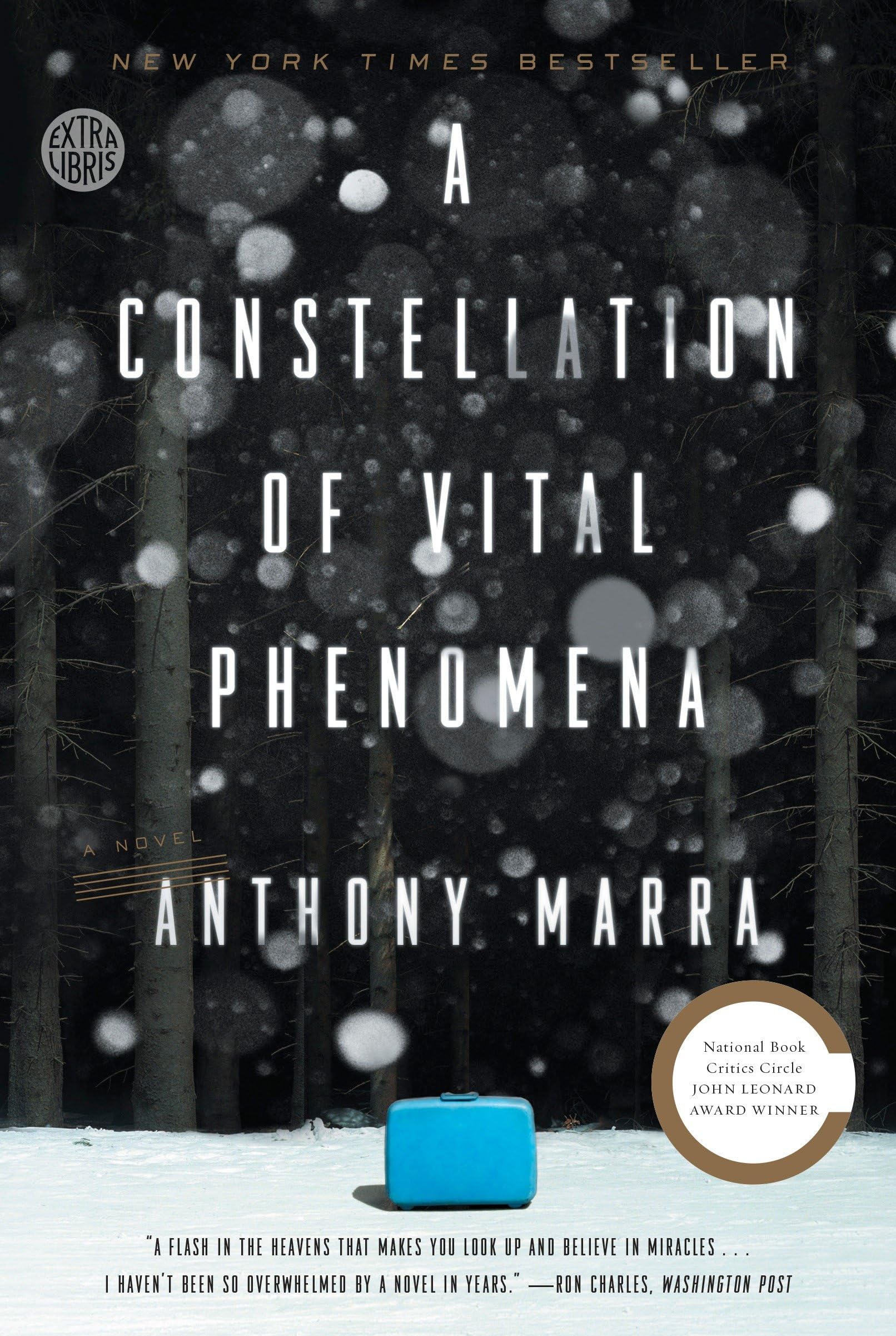A Constellation of Vital Phenomena: A Novel Contemporary literature