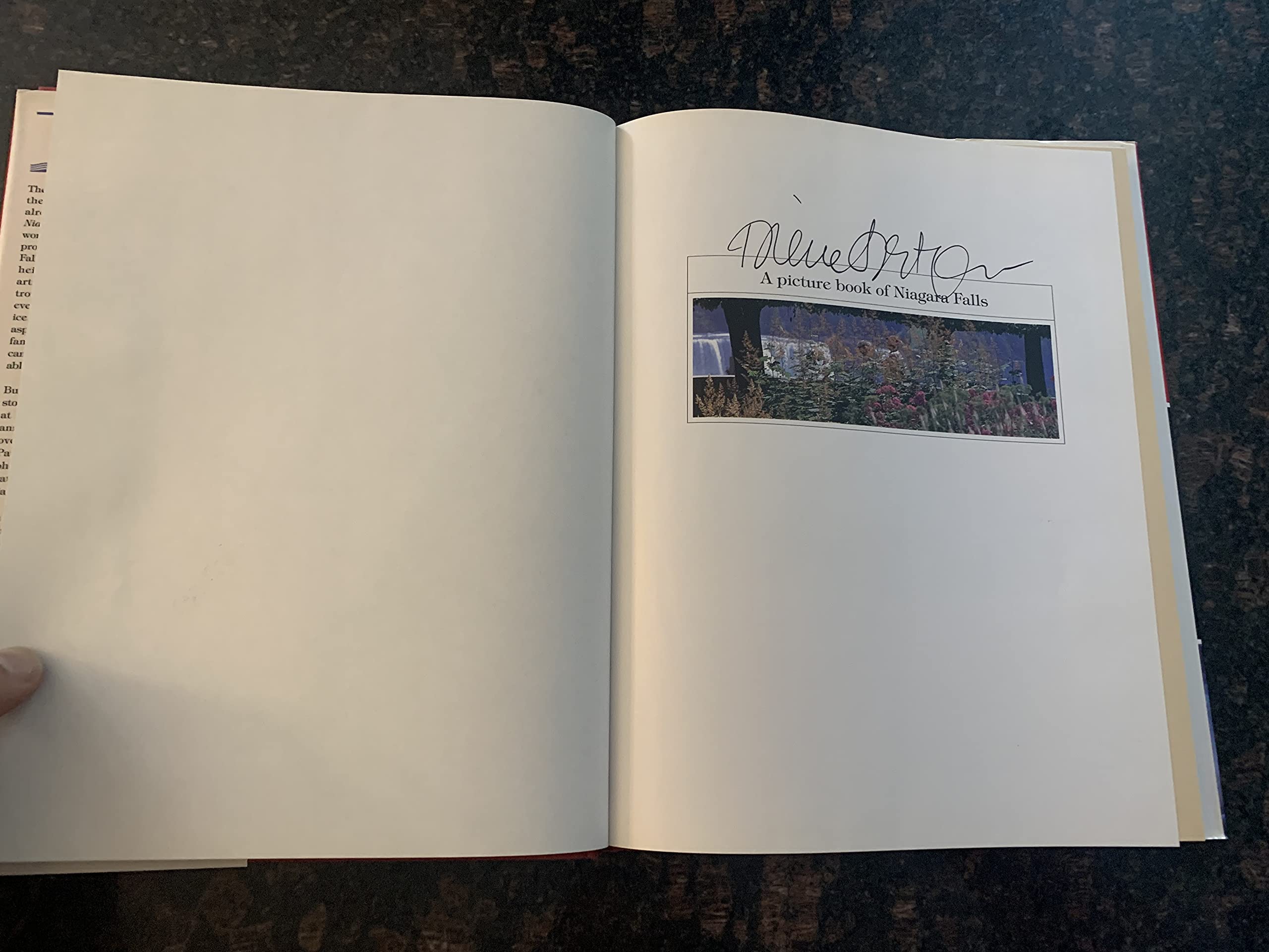 A Picture Book of Niagara Falls Travel