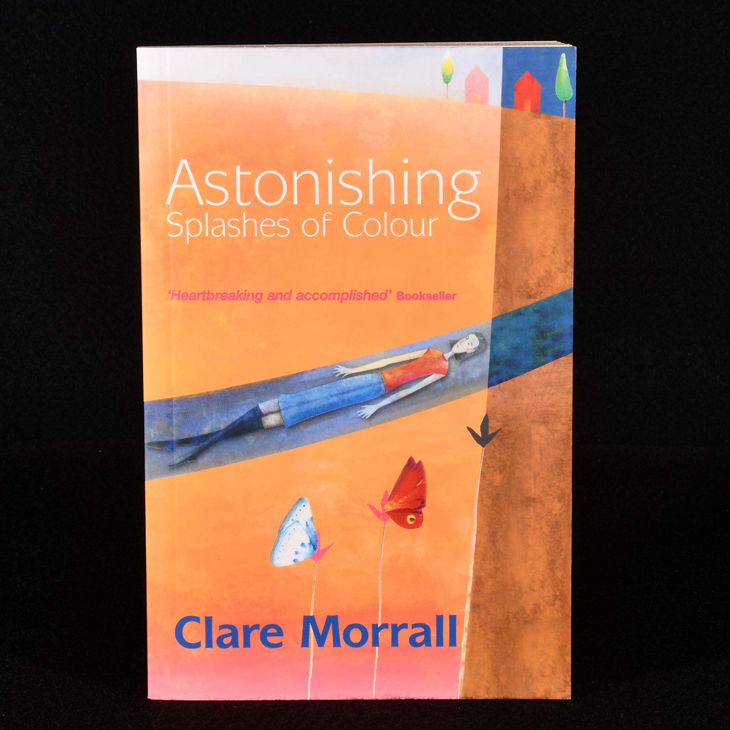 Astonishing Splashes of Colour Contemporary literature