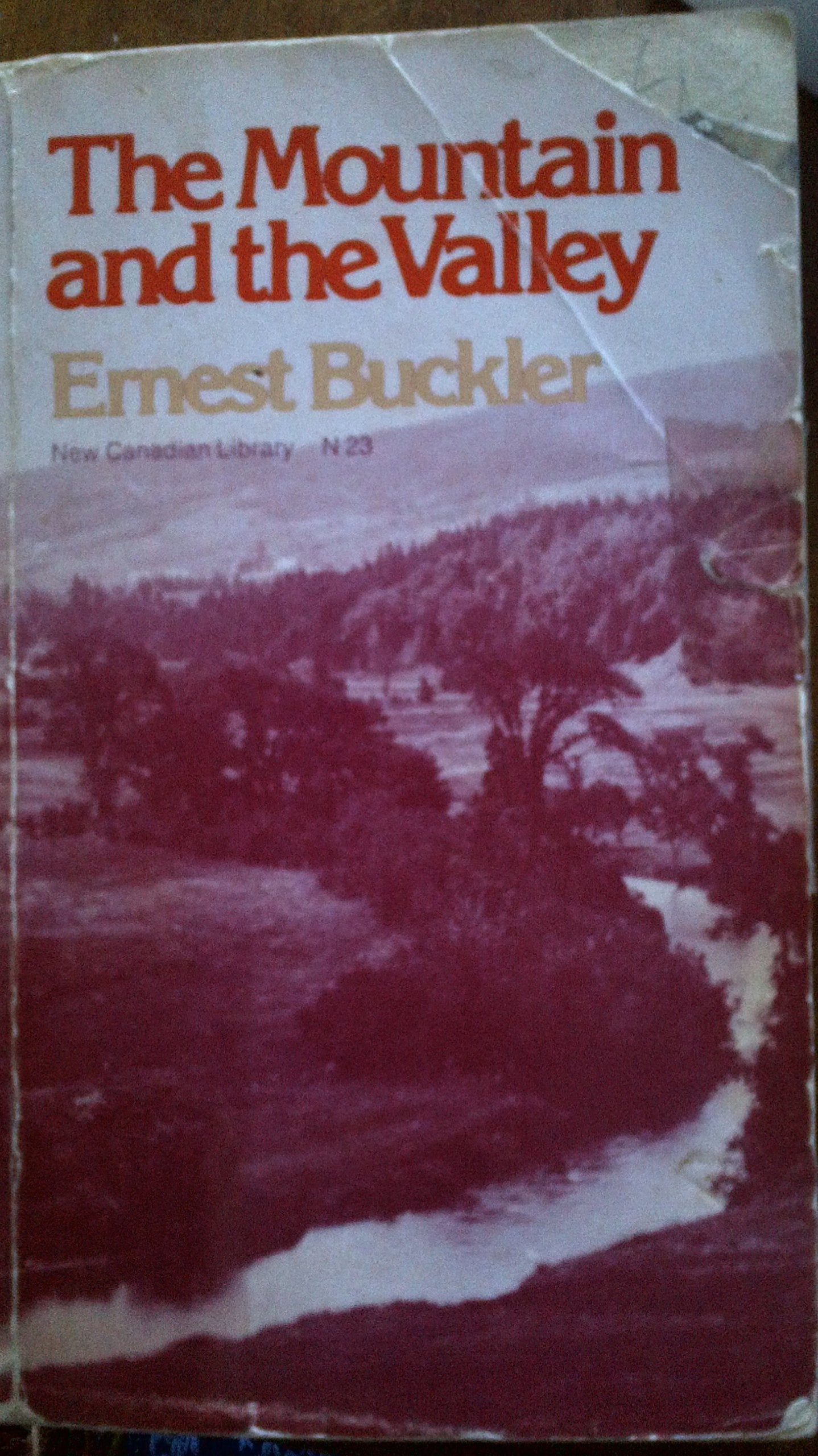 The Mountain and the Valley book