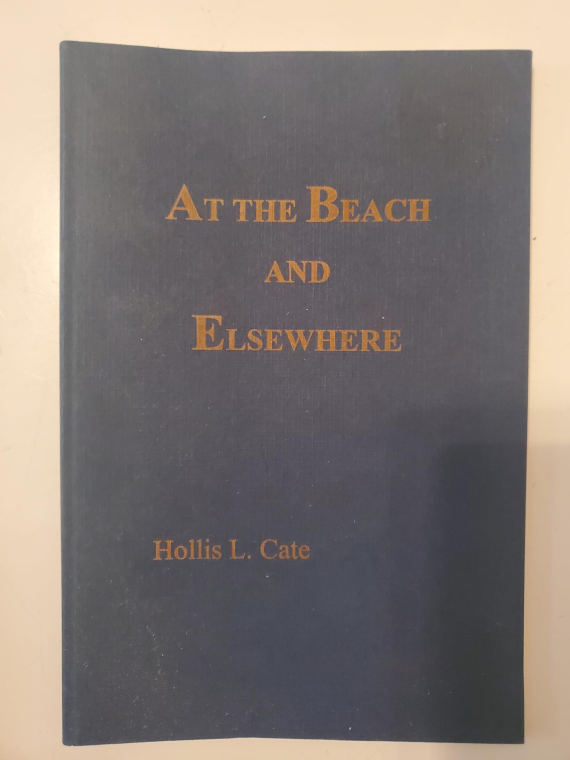 At the Beach, and Elsewhere (Salzburg studies: Poetic drama & poetic theory, Band 111) Poetry