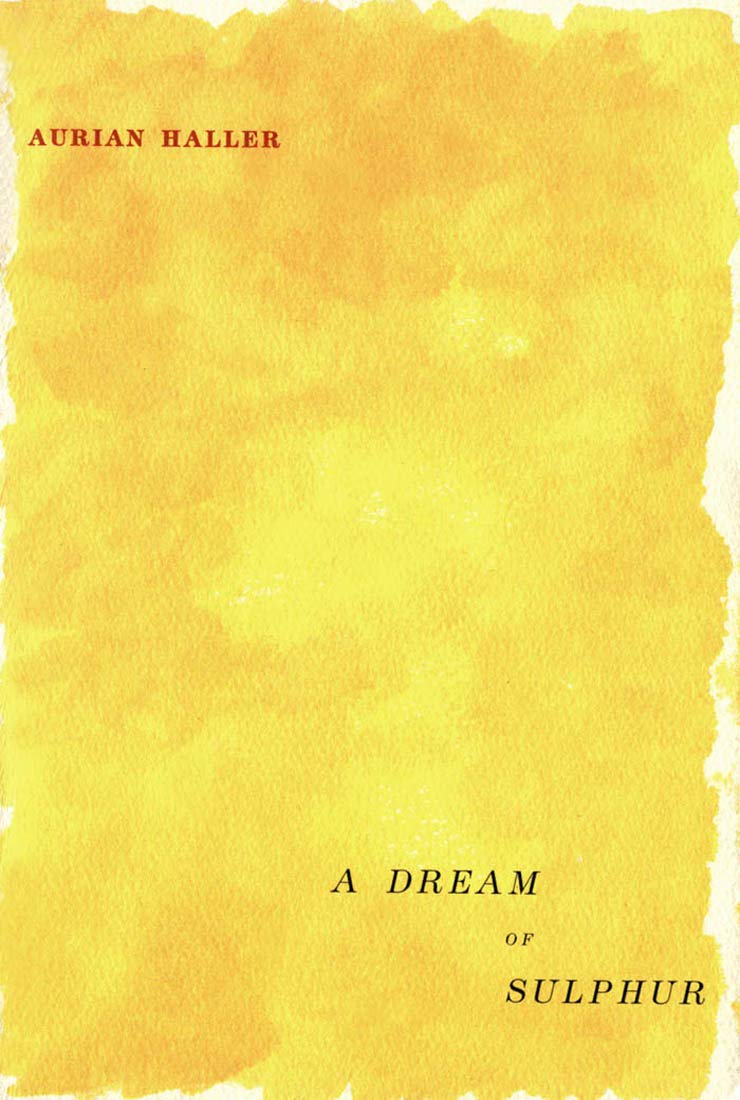 A Dream of Sulphur (The Hugh Maclennan Poetry Series, Band 8) Social Sciences