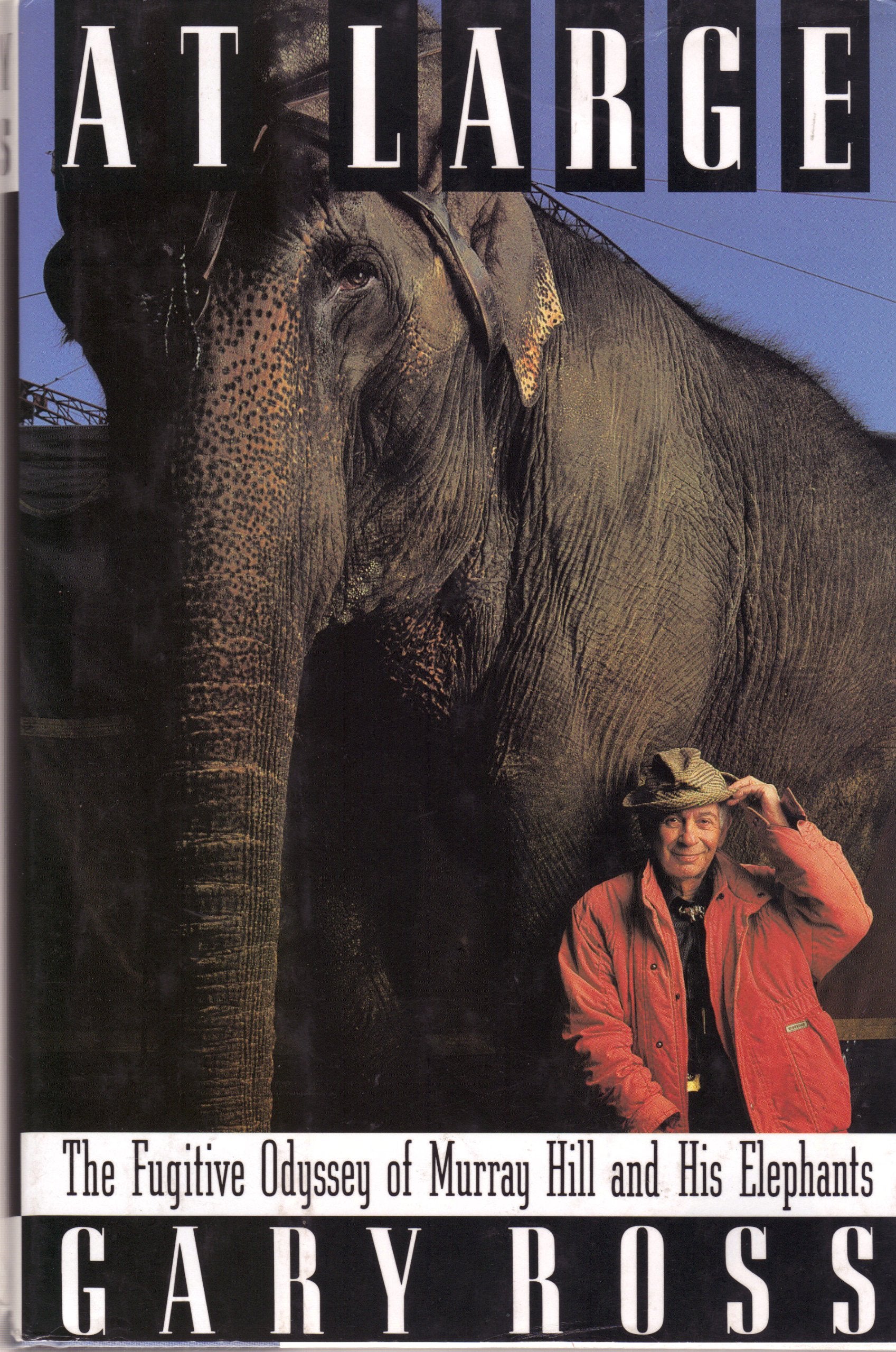 At Large: The Fugative Odyssey of Murray Hill and His Elephants Books