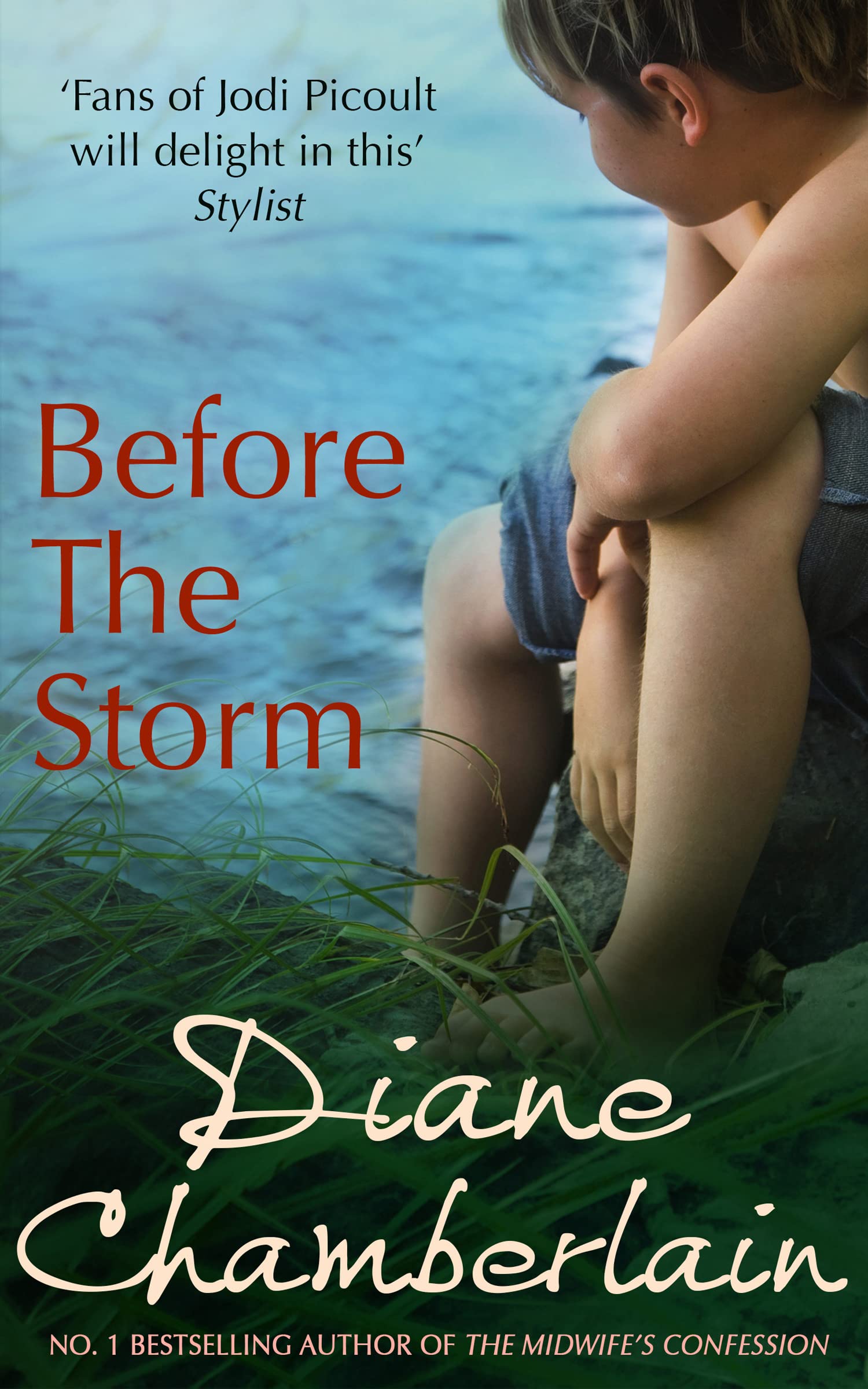 Before The Storm Contemporary literature Books