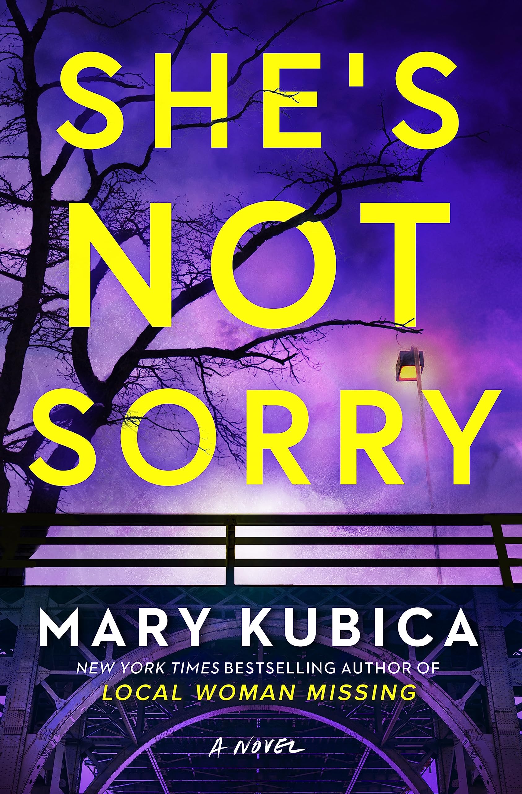 She's Not Sorry Contemporary literature Books
