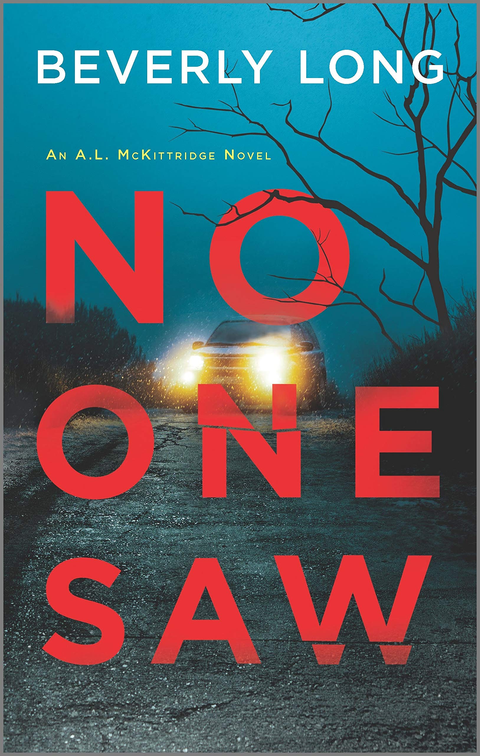 No One Saw Holiday Reading