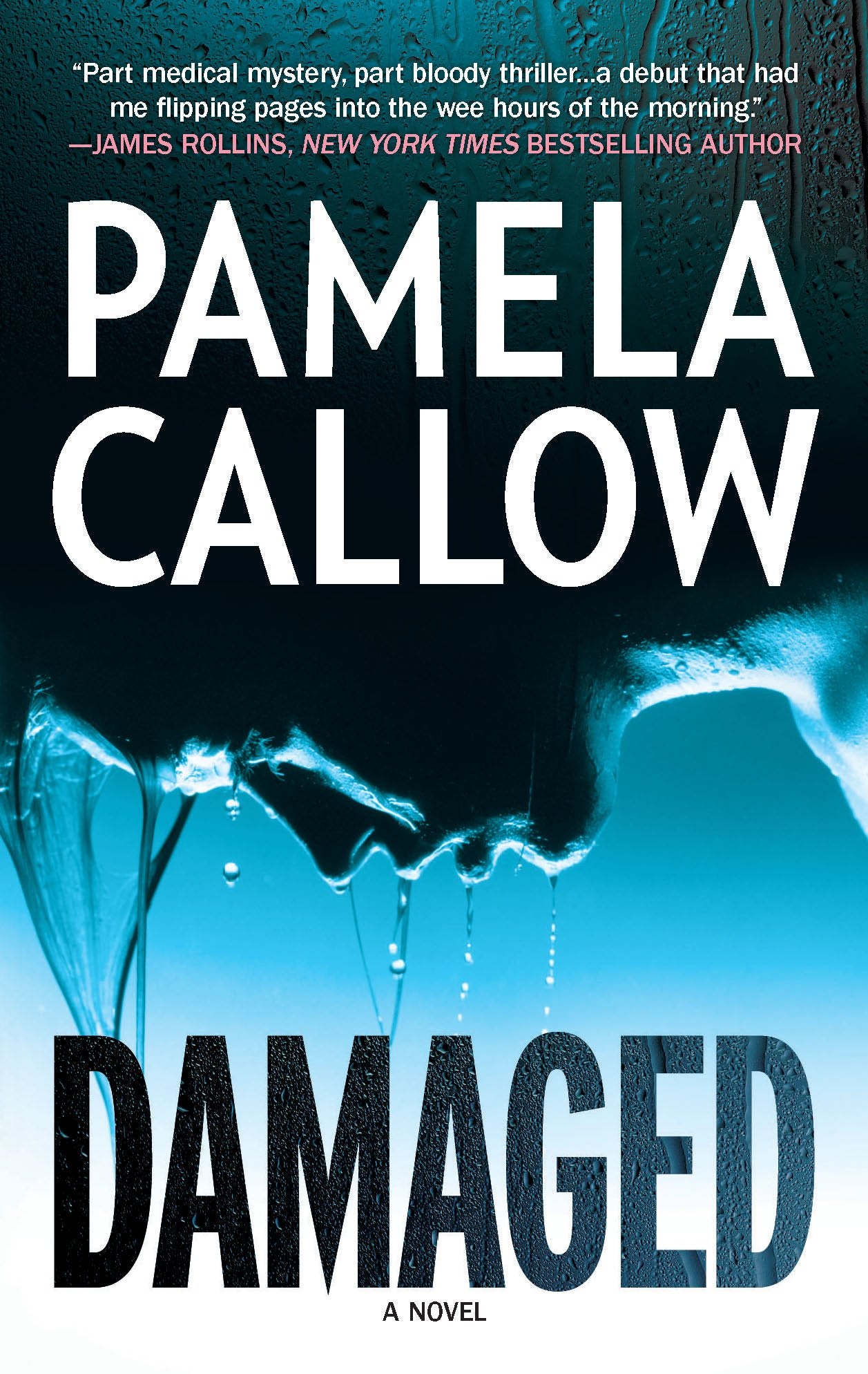 Damaged (A Kate Lange Novel, 1) Action & Adventure