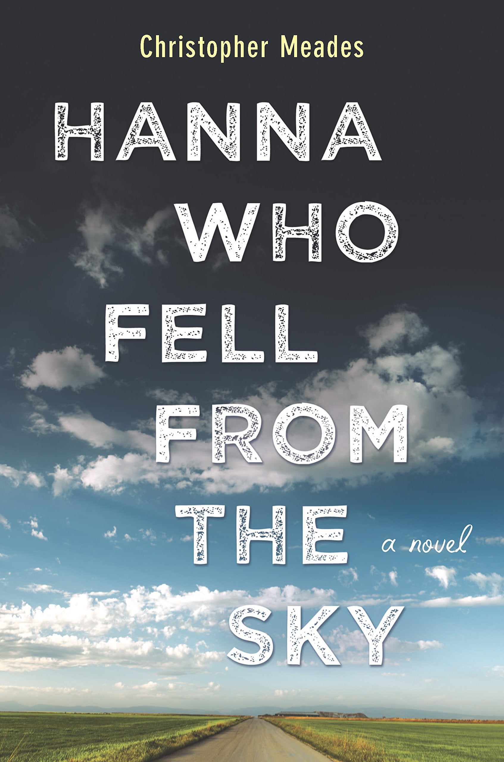 Hanna Who Fell from the Sky: A Novel Contemporary literature