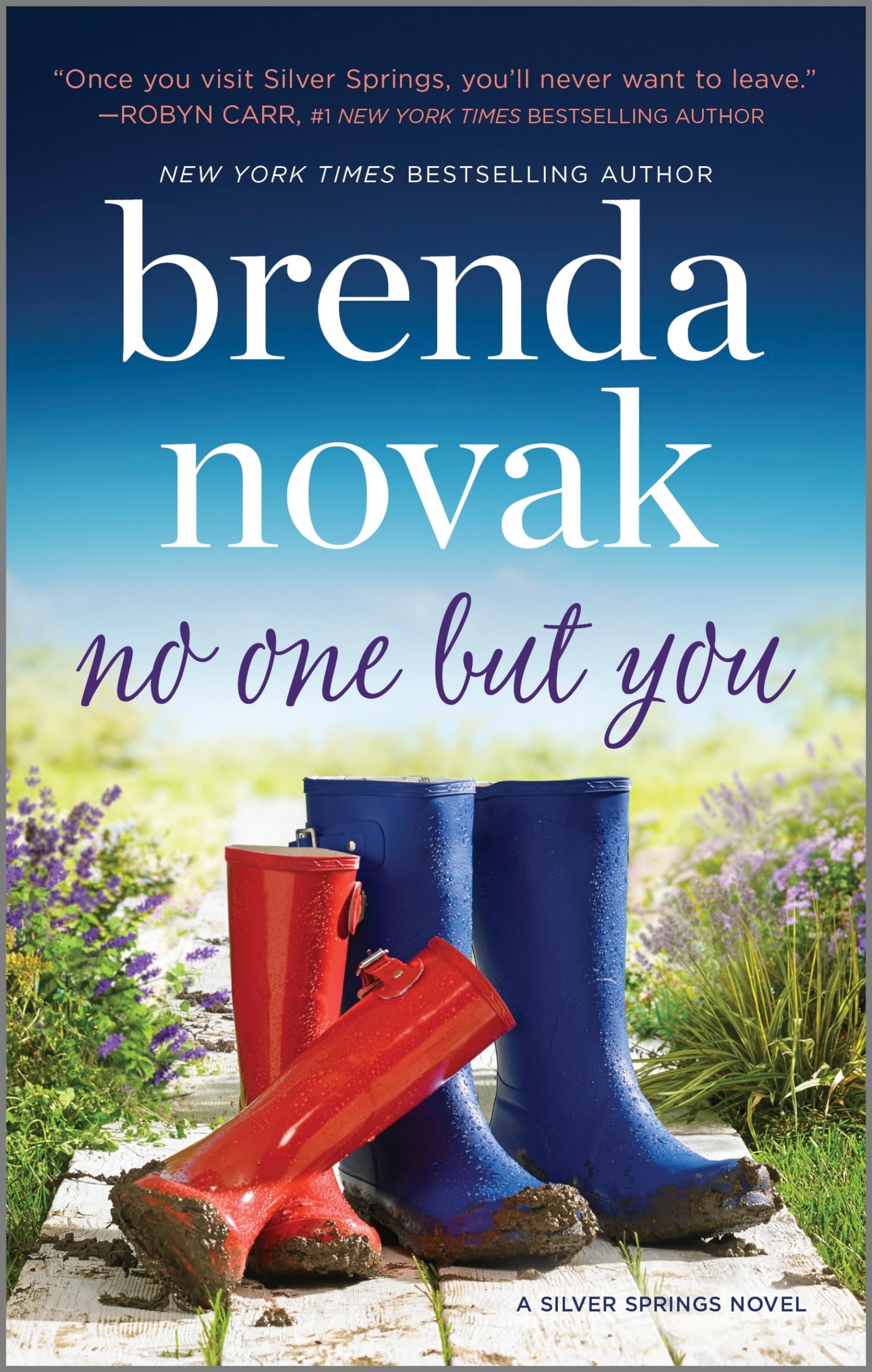 No One but You: A Novel (Silver Springs, 2) Social Sciences
