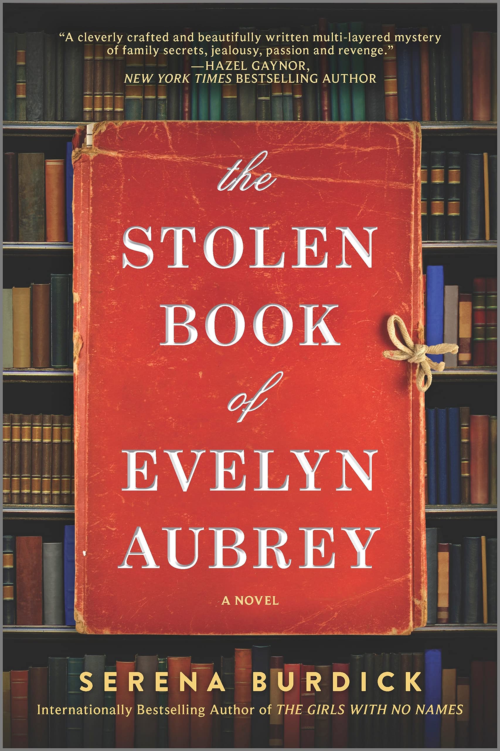 The Stolen Book of Evelyn Aubrey: A Novel Social Sciences