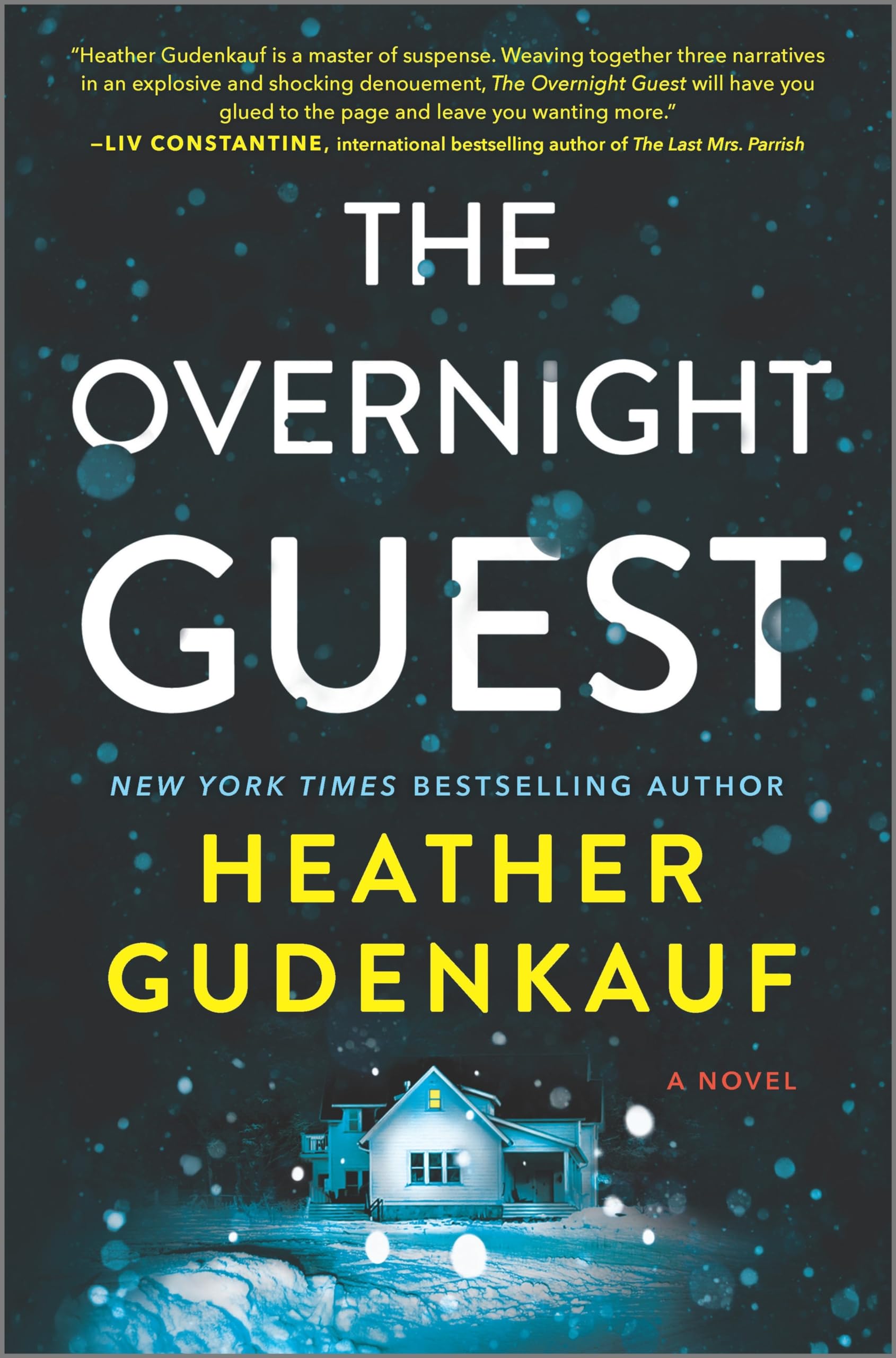 The Overnight Guest: A Novel Social Sciences