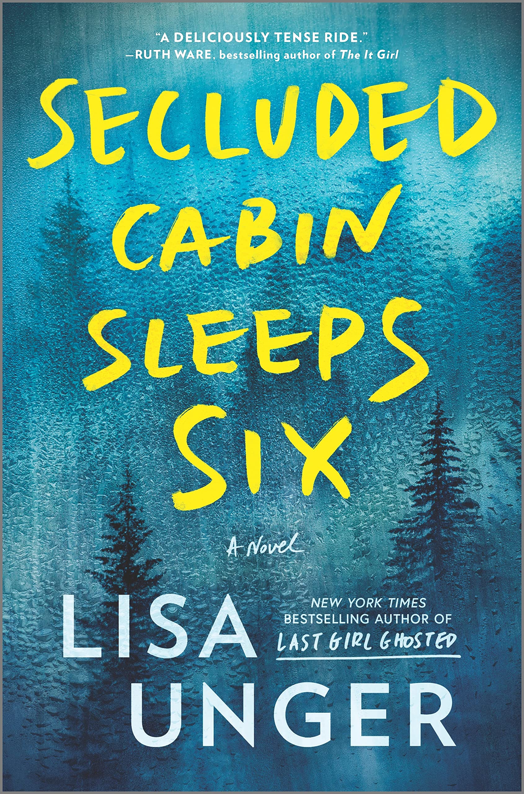 Secluded Cabin Sleeps Six: A Novel of Thrilling Suspense Contemporary literature