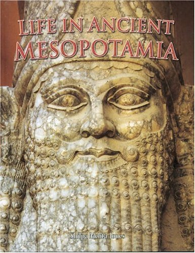 Life in Ancient Mesopotamia Non-fiction