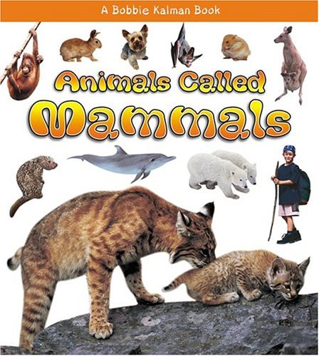 Animals Called Mammals (What Kind of Animal Is It?) Non-fiction