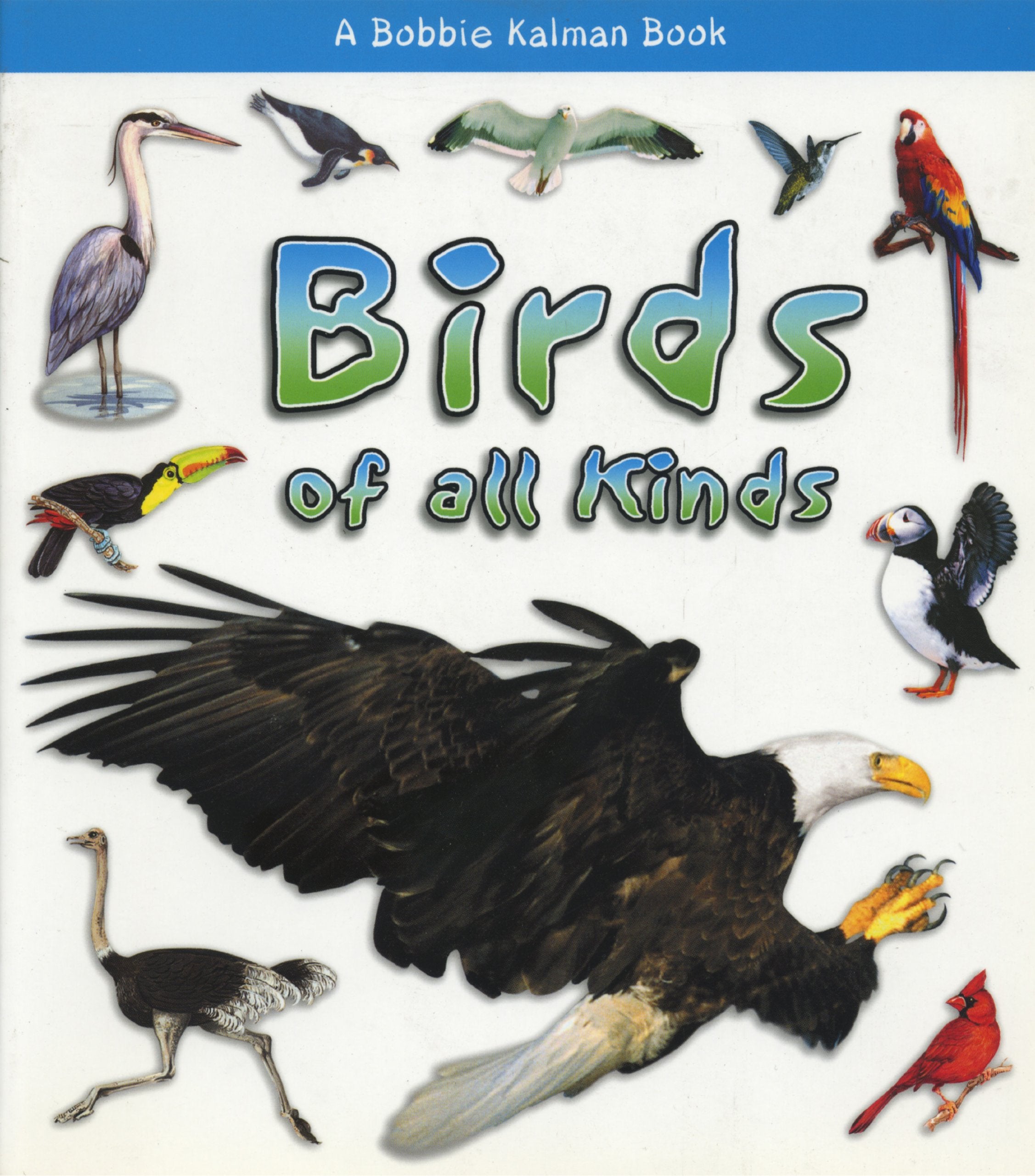 Birds of All Kinds (What Kind of Animal Is It?) Non-fiction