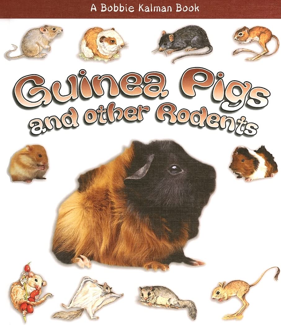 Guinea Pigs and Other Rodents (What Kind of Animal Is It?) Non-fiction
