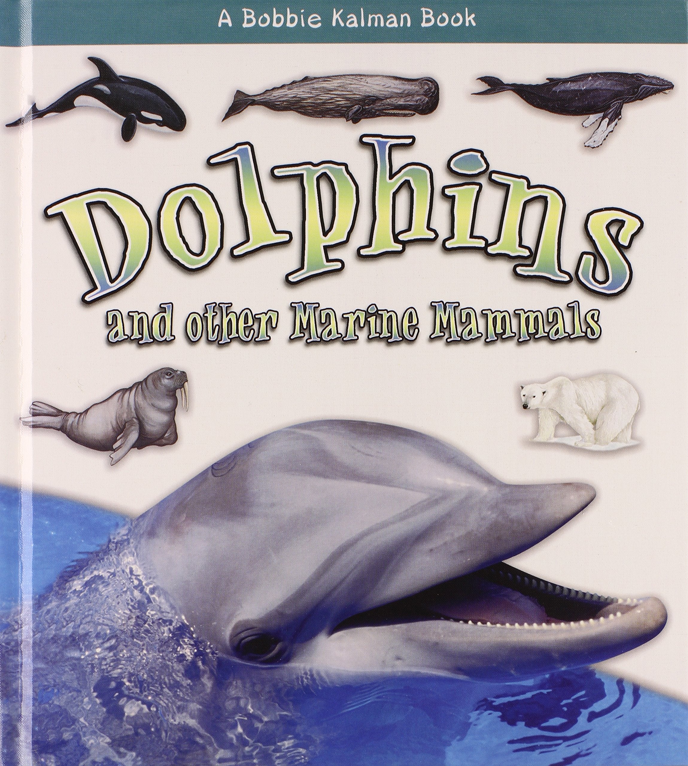 Dolphins and Other Marine Mammals (What Kind of Animal Is It?) Non-fiction